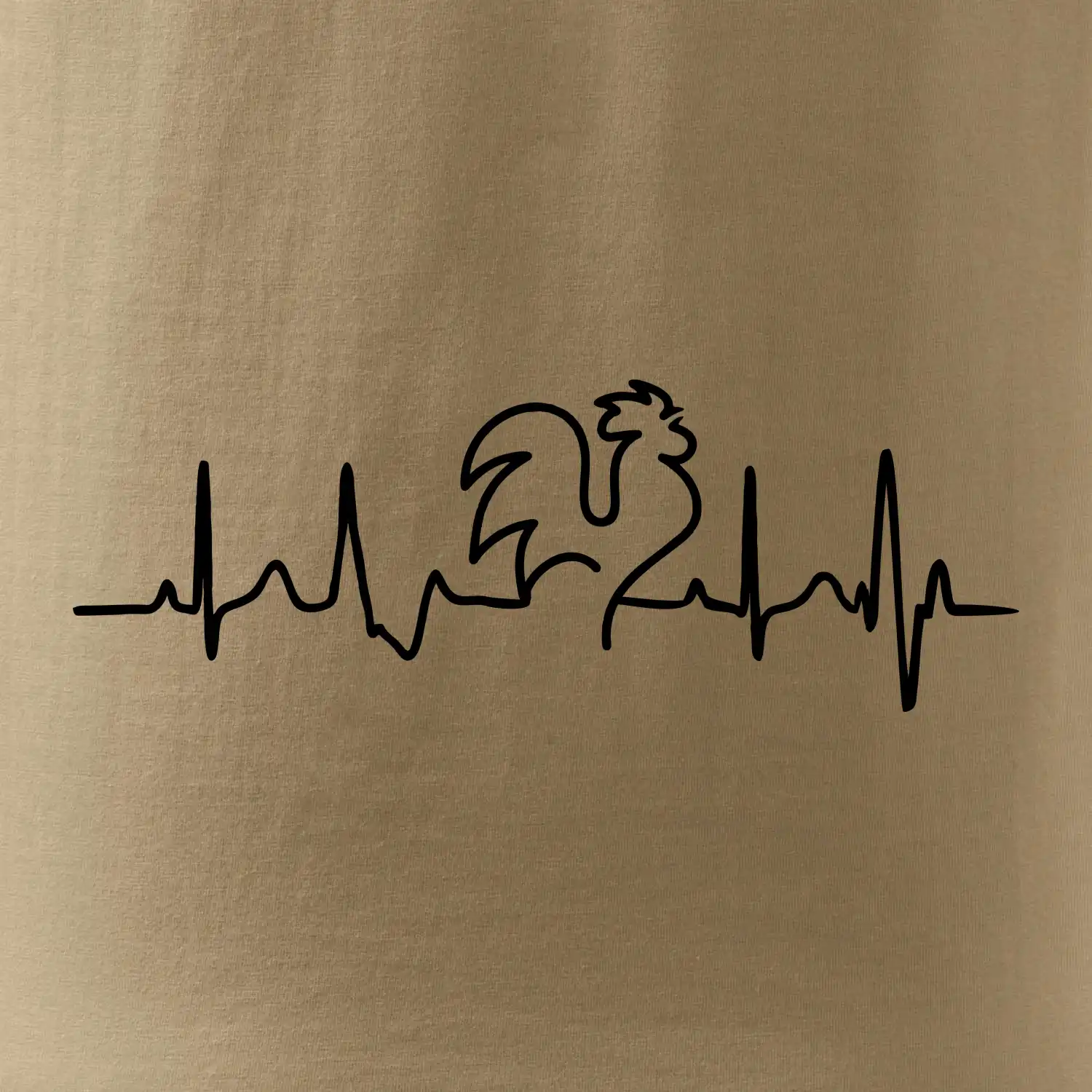 Kohout ekg