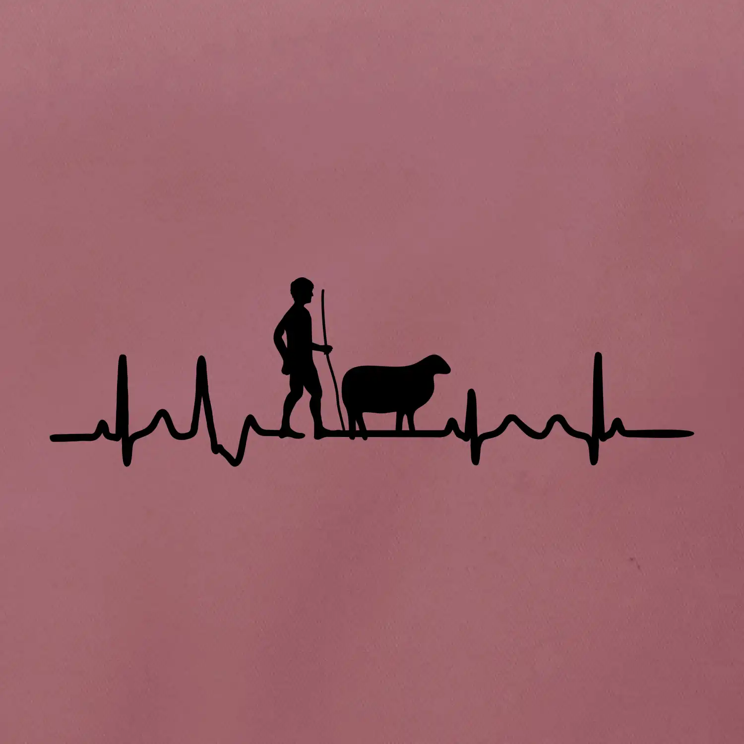 Ekg pastevec ovcí