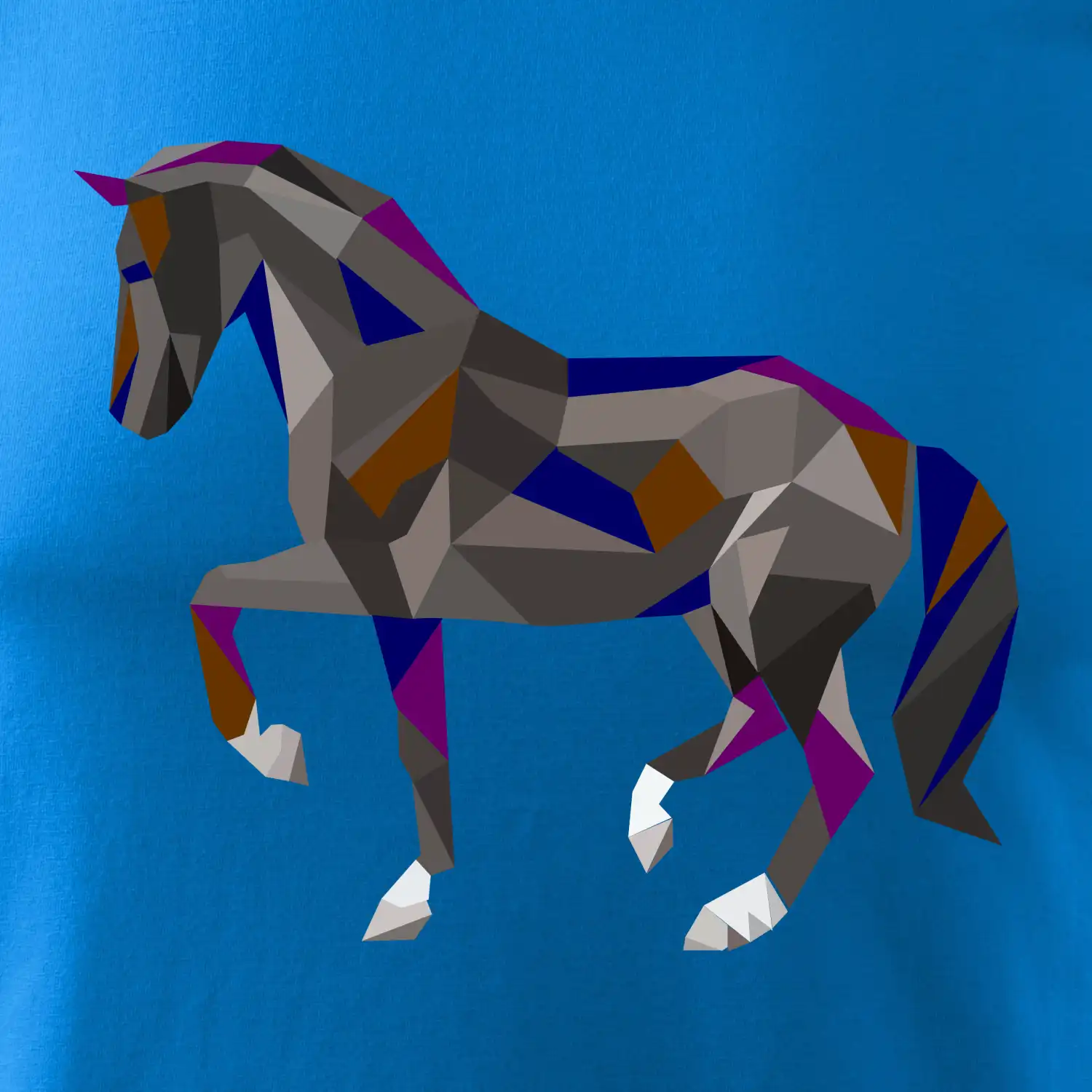 Kůň geometrie barevný