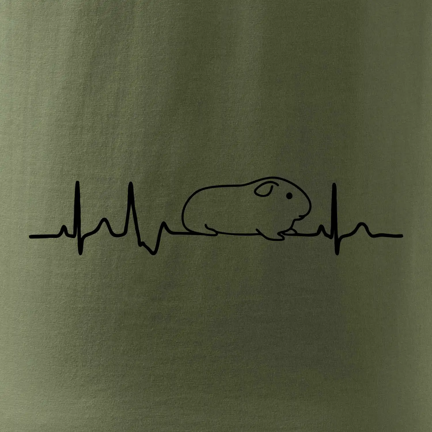 EKG morče