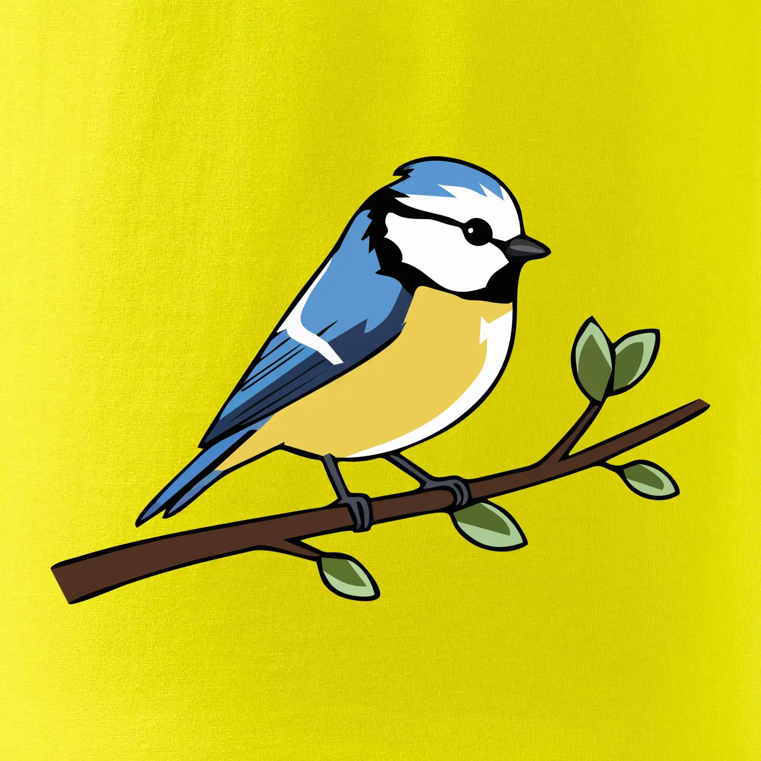 Sýkorka modřinka na větvi