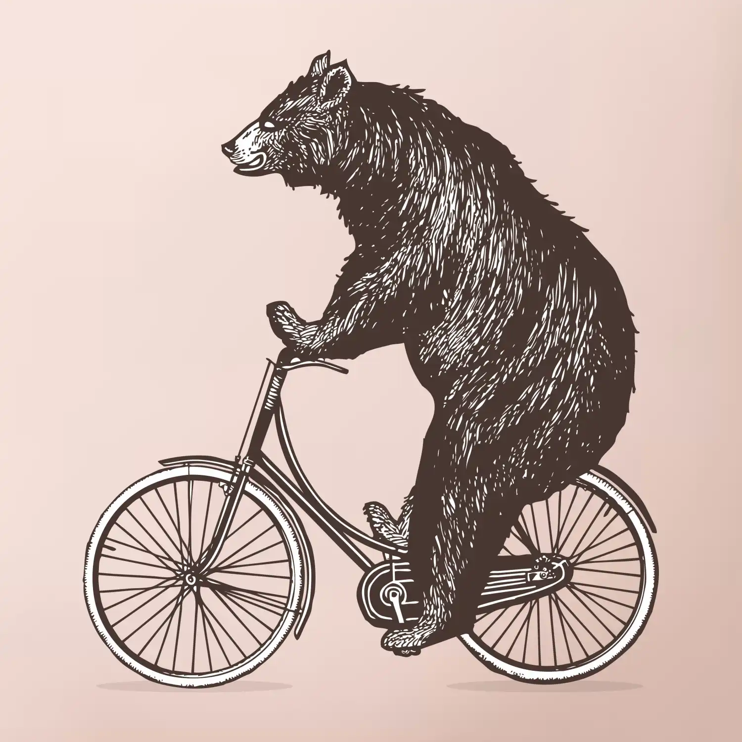 Medvěd na kole