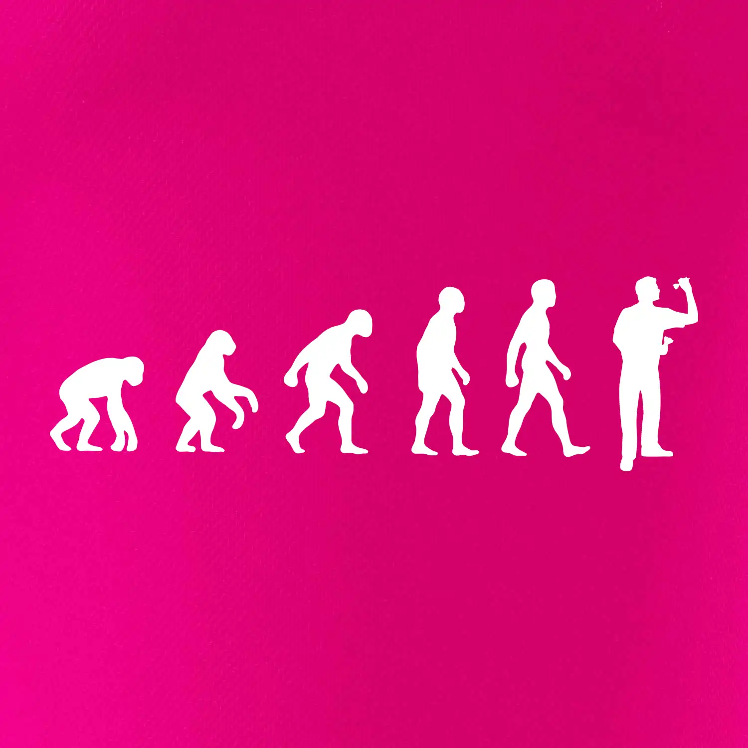 Evoluce šipky