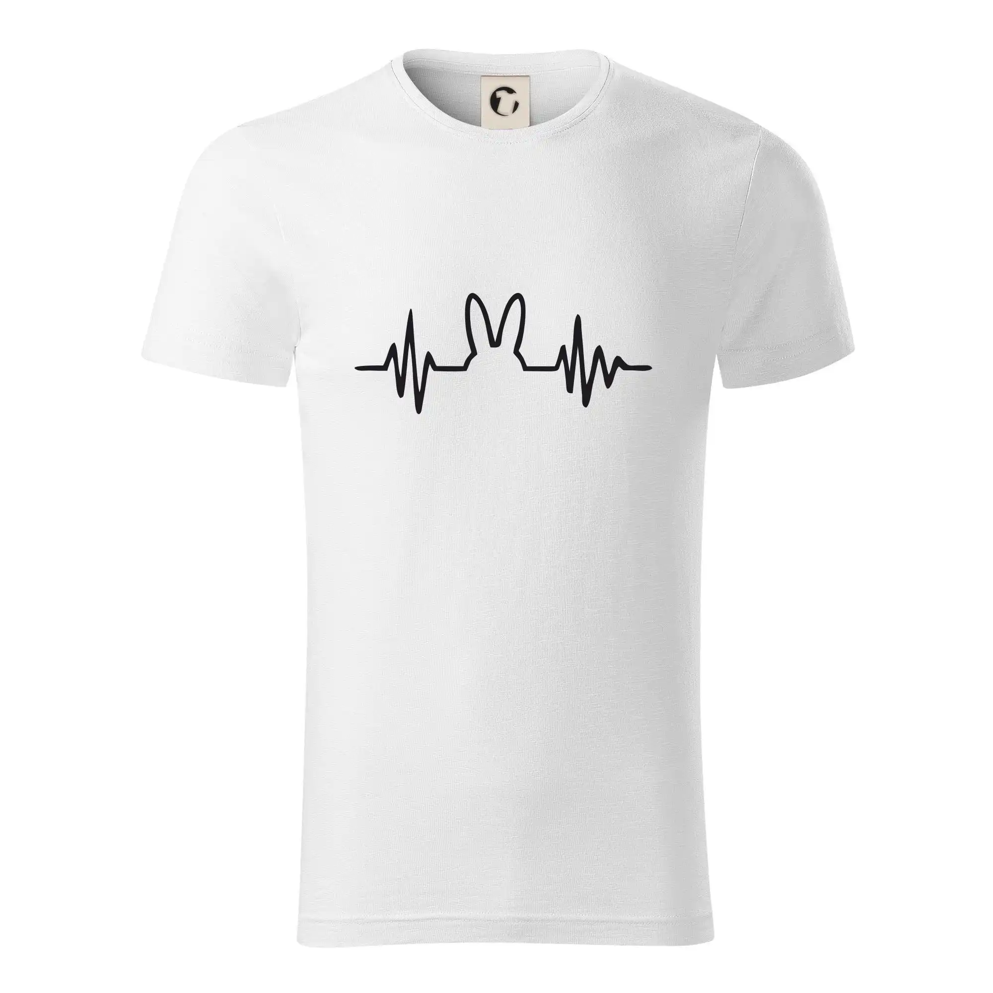 EKG zajíc