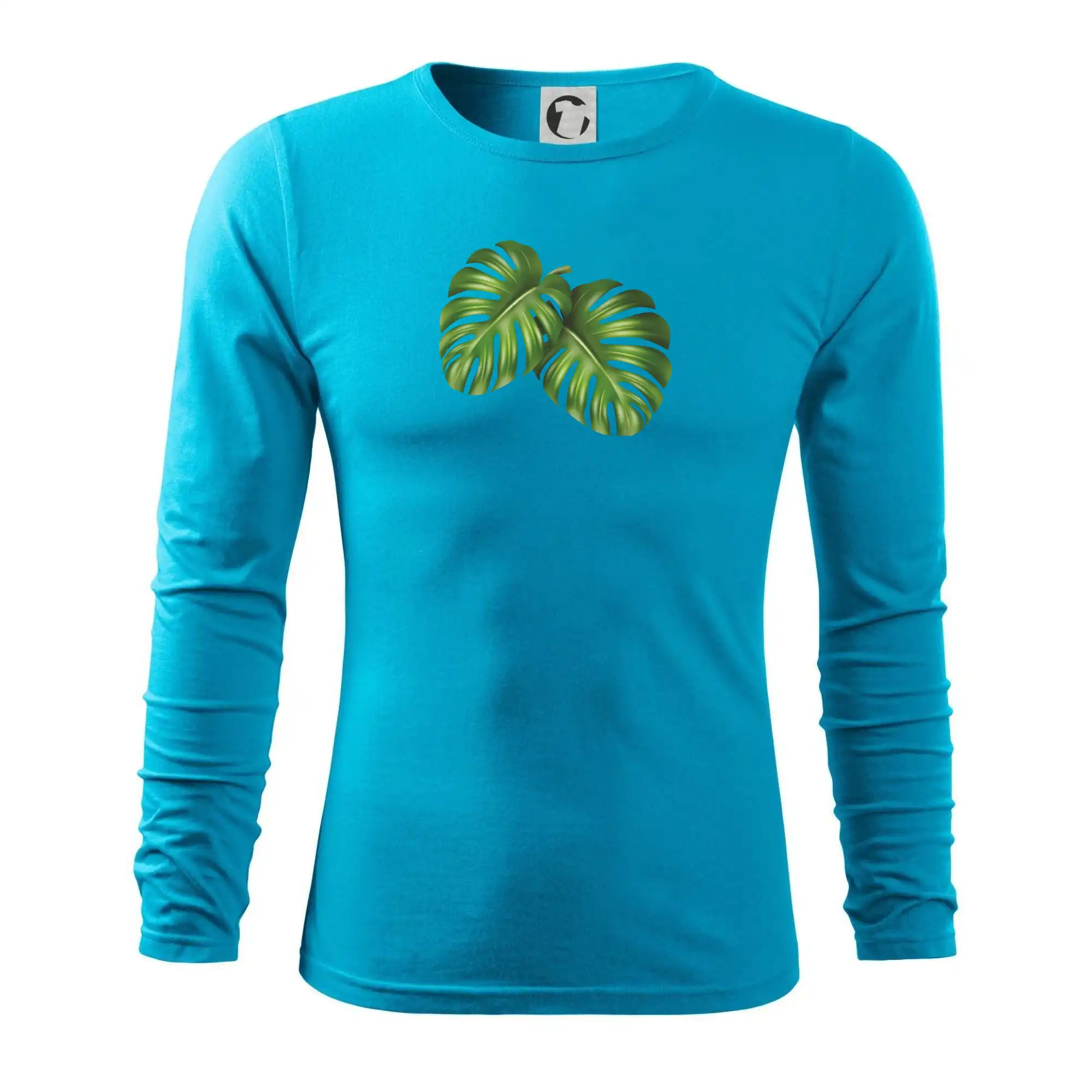 Monstera - dva listy