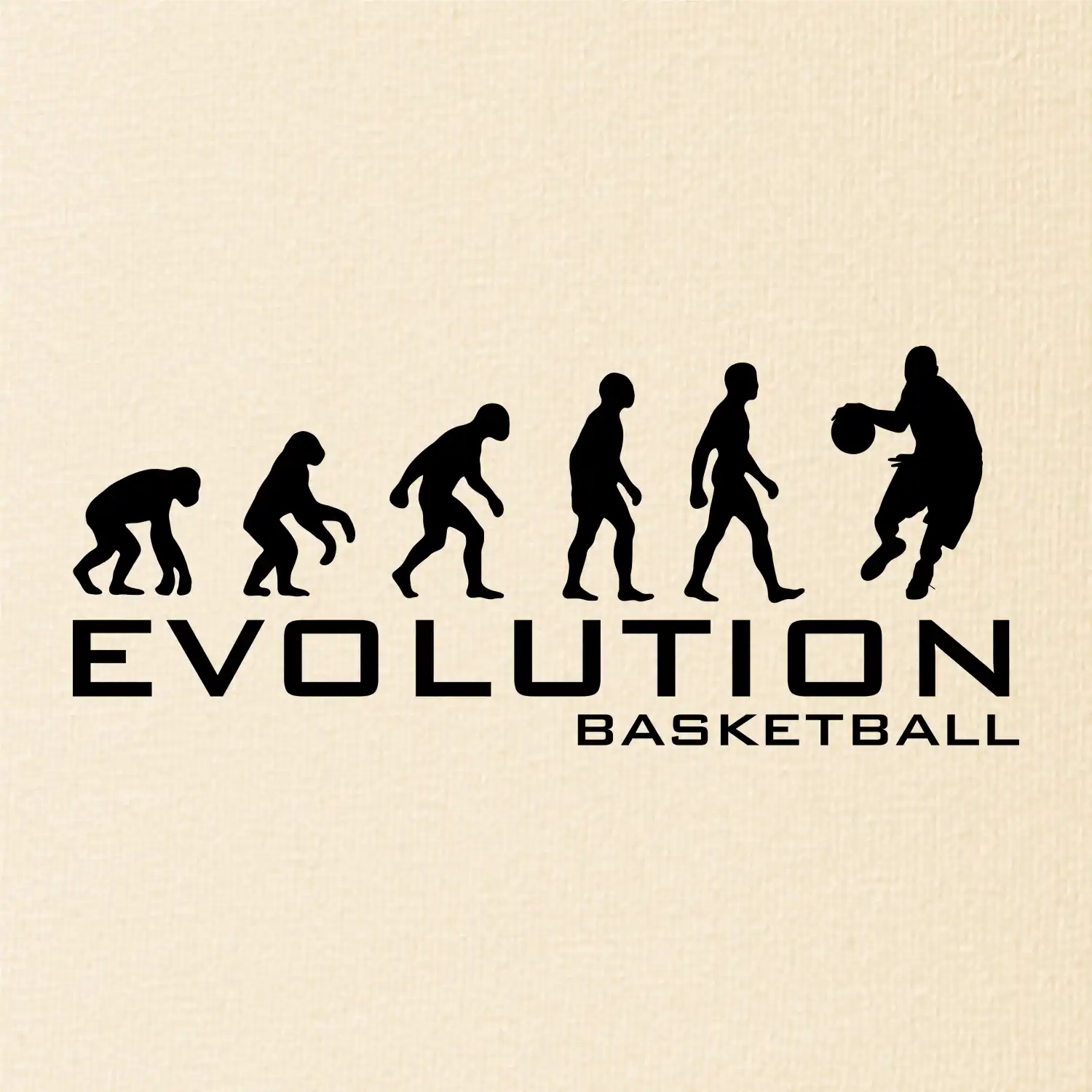 Evoluce Basketball