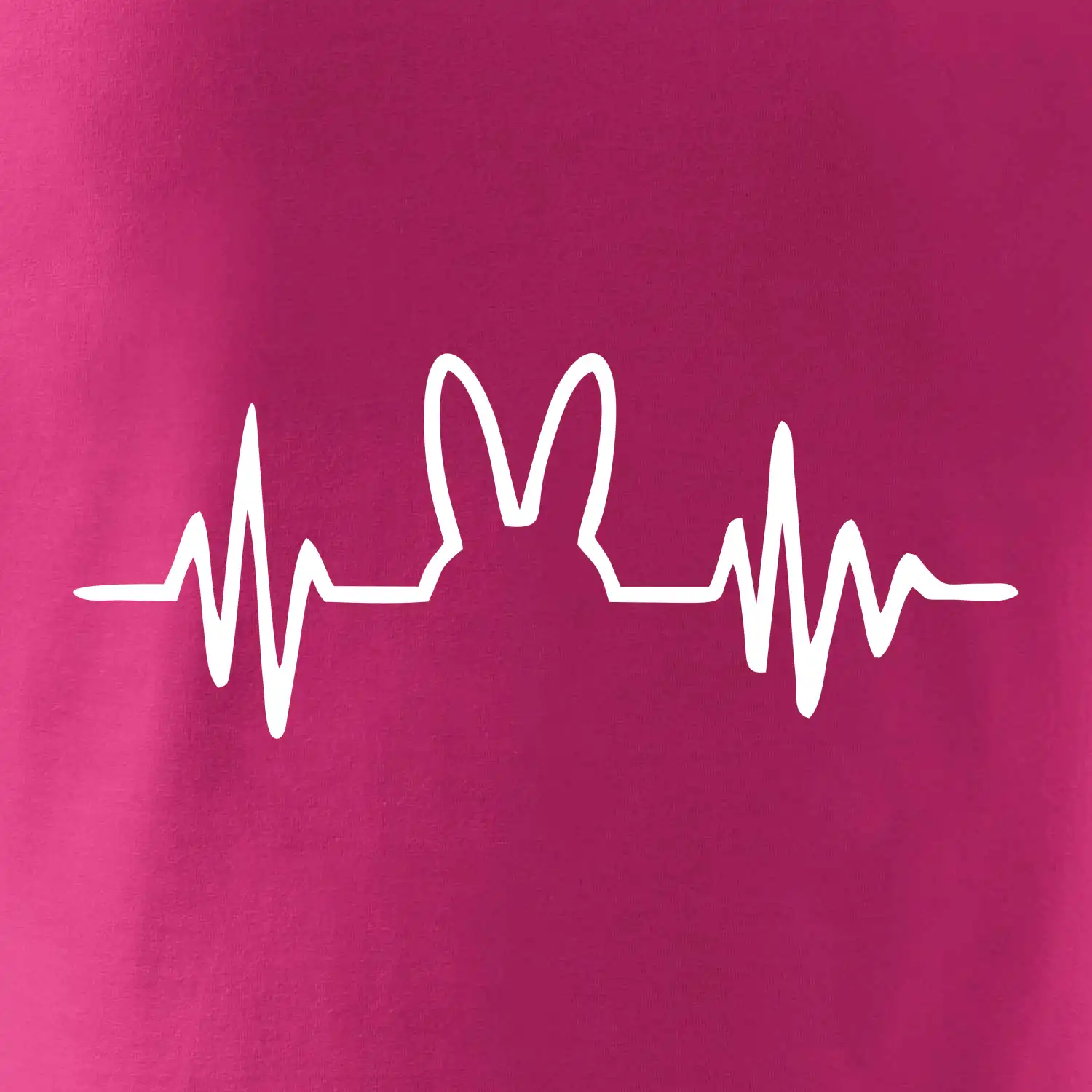 EKG zajíc