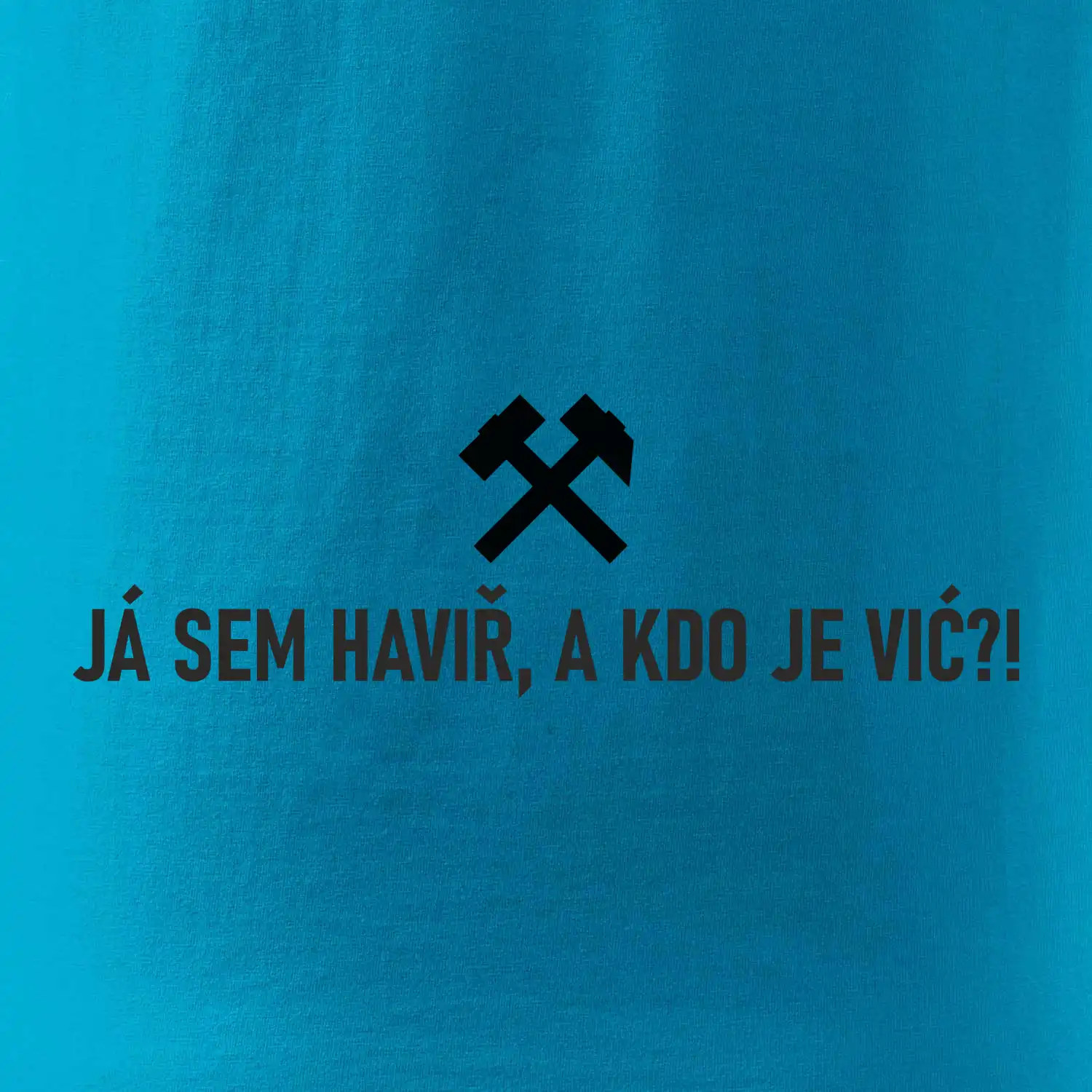 JÁ SEM HAVIŘ, A KDO JE VIĆ?!﻿