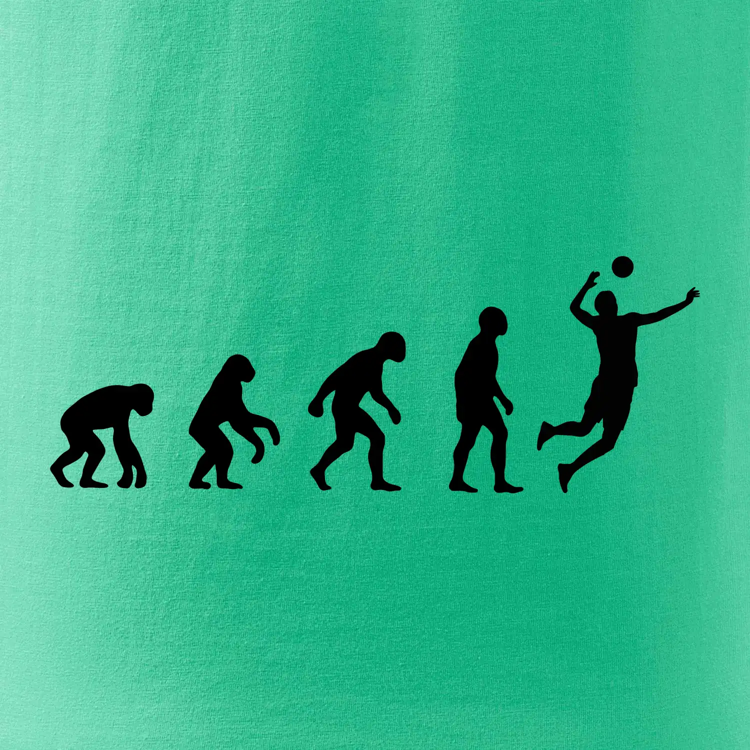 Evoluce volejbal muž