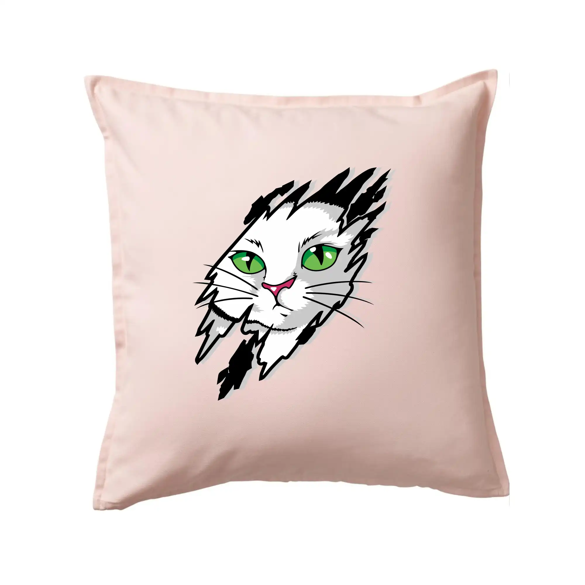 Kočka v roztrženém triku