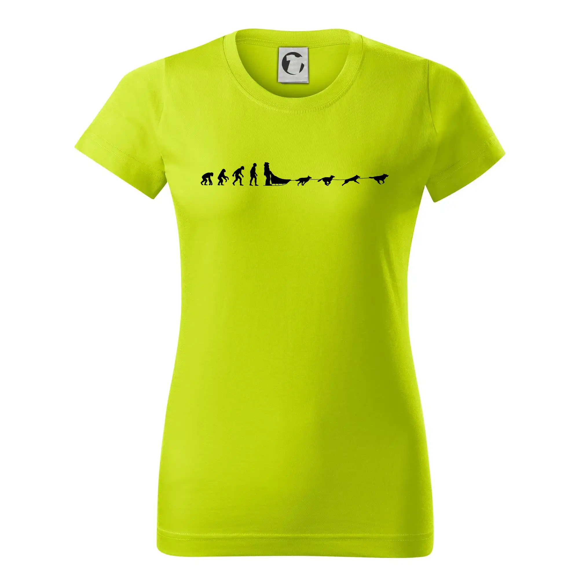 Evoluce psí spřežení