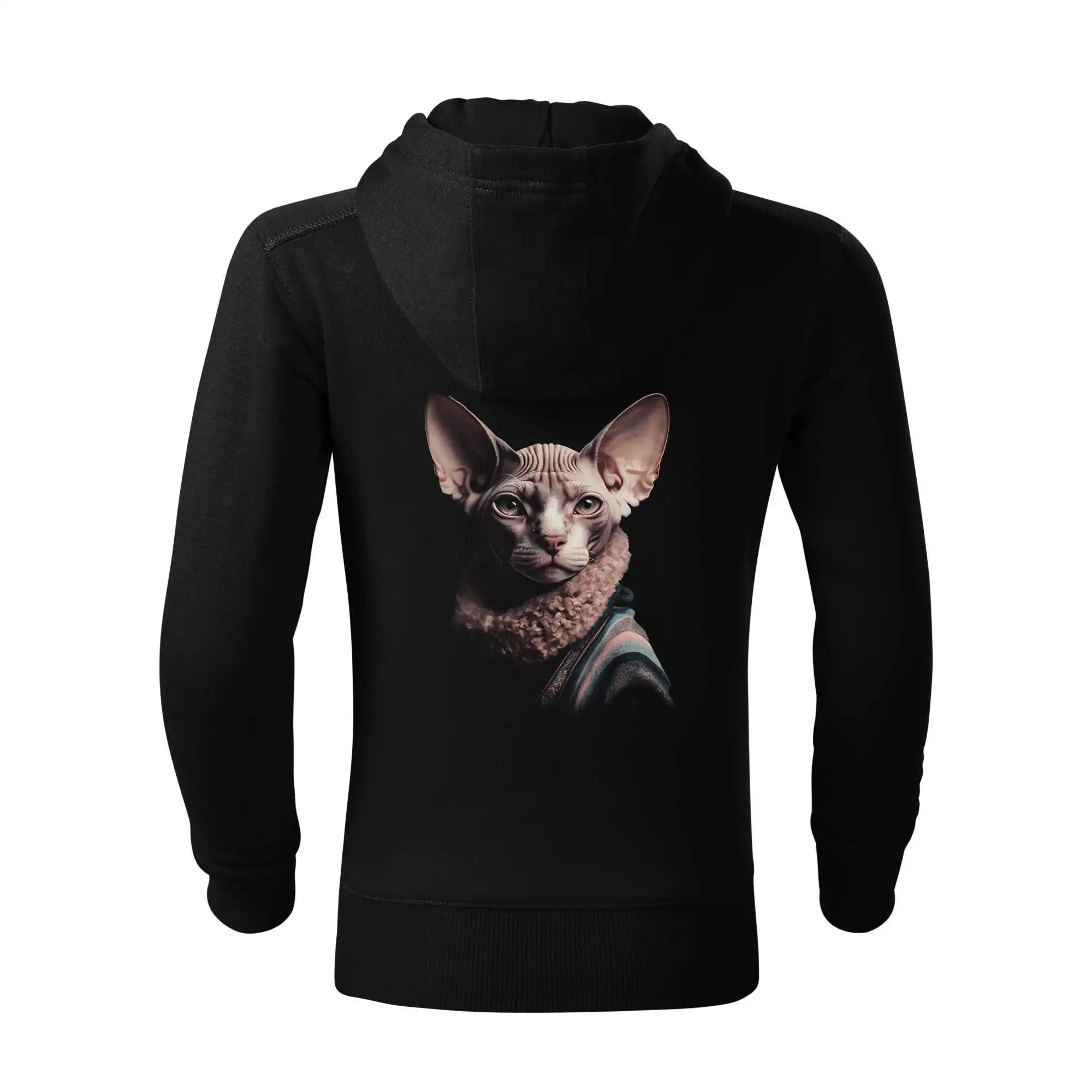 Kočka sphynx s límcem