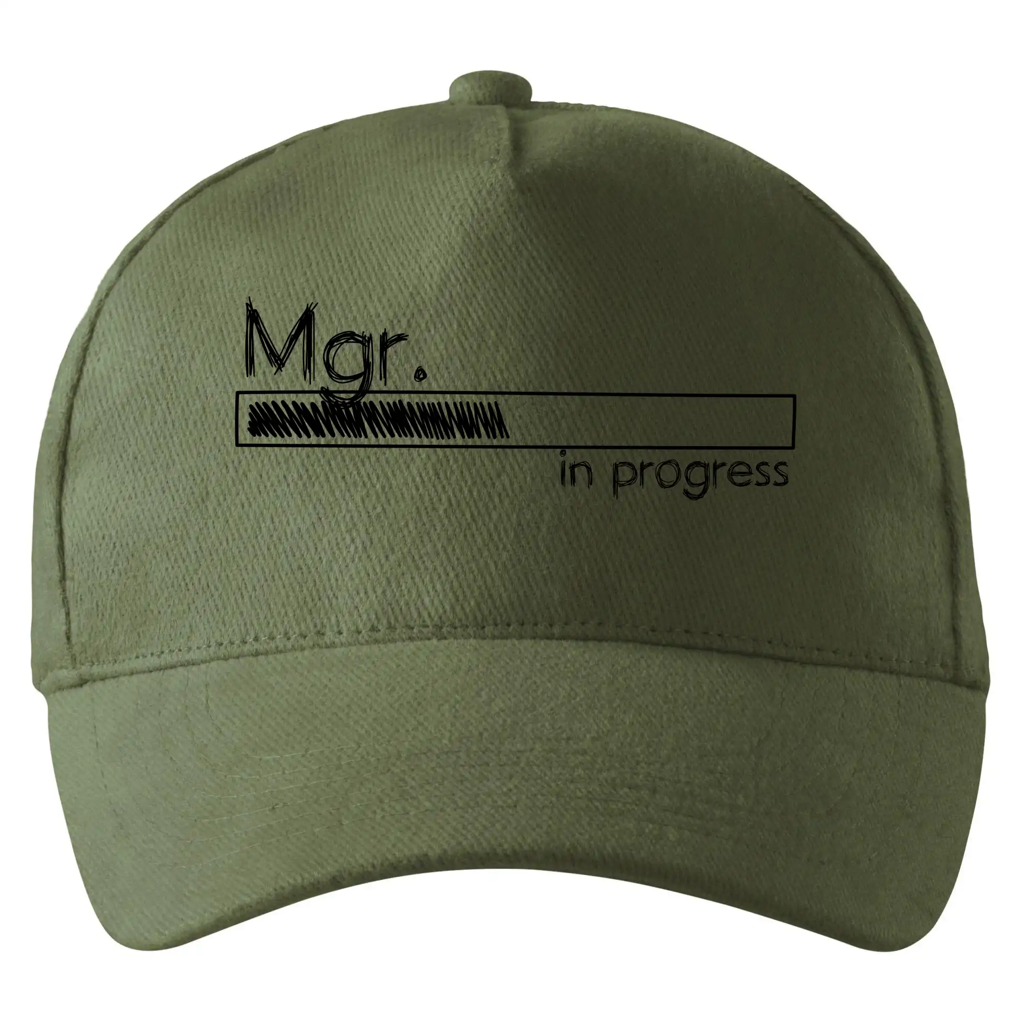 In progress titul Mgr.  magistr / magistra