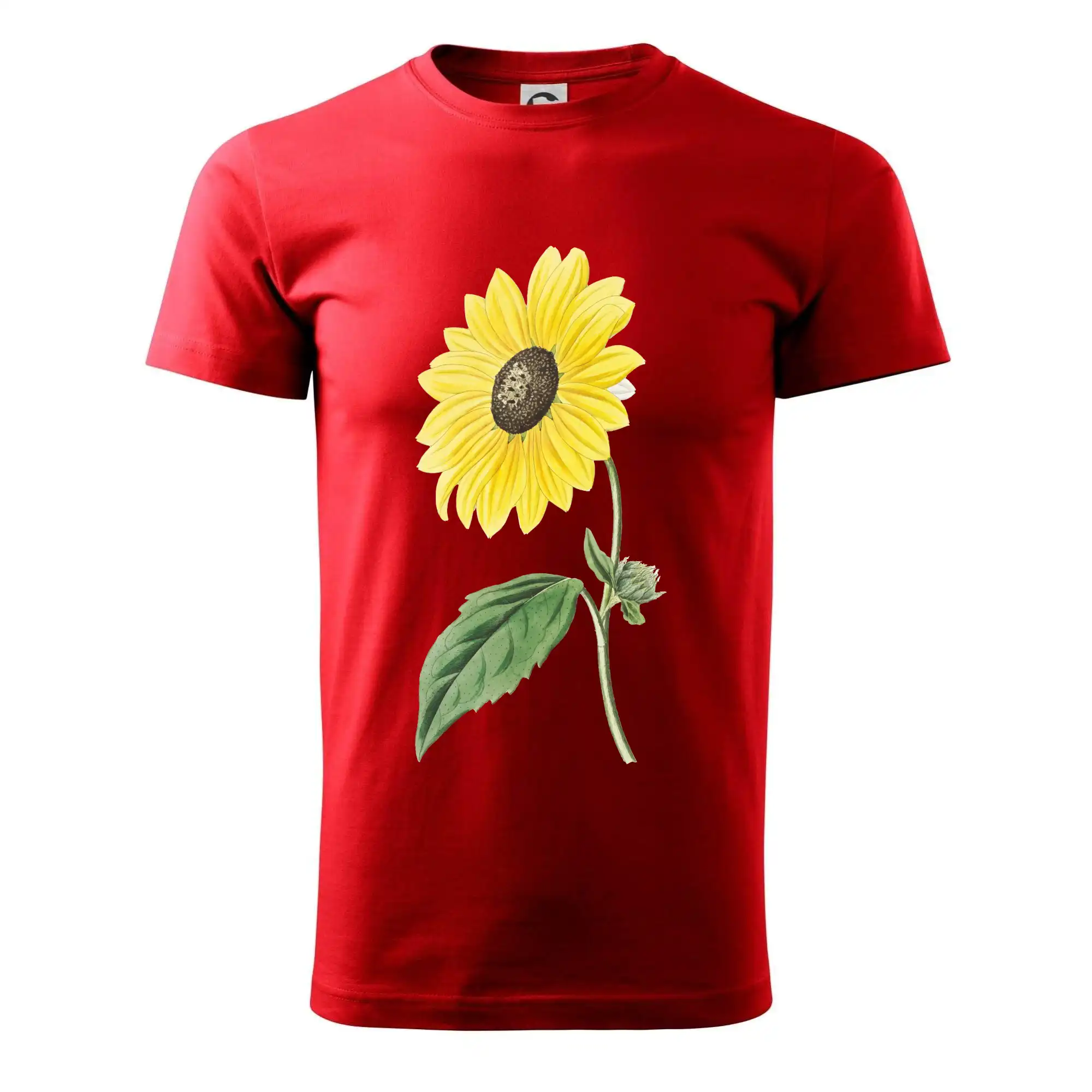 Slunečnice otočená