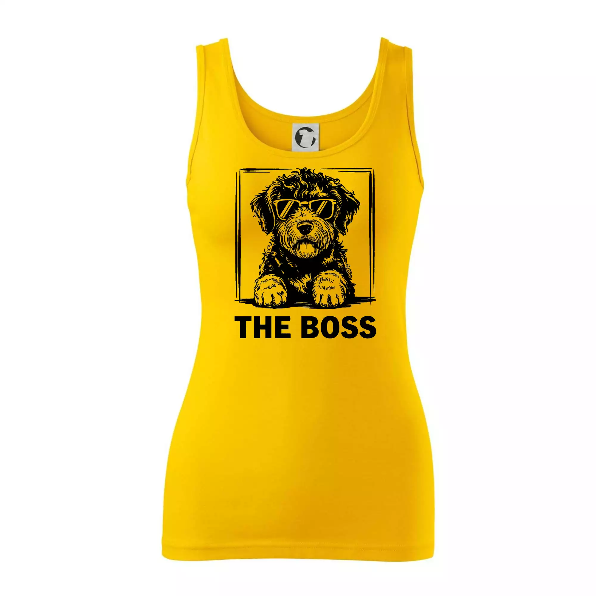 Lagotto romagnolo the boss