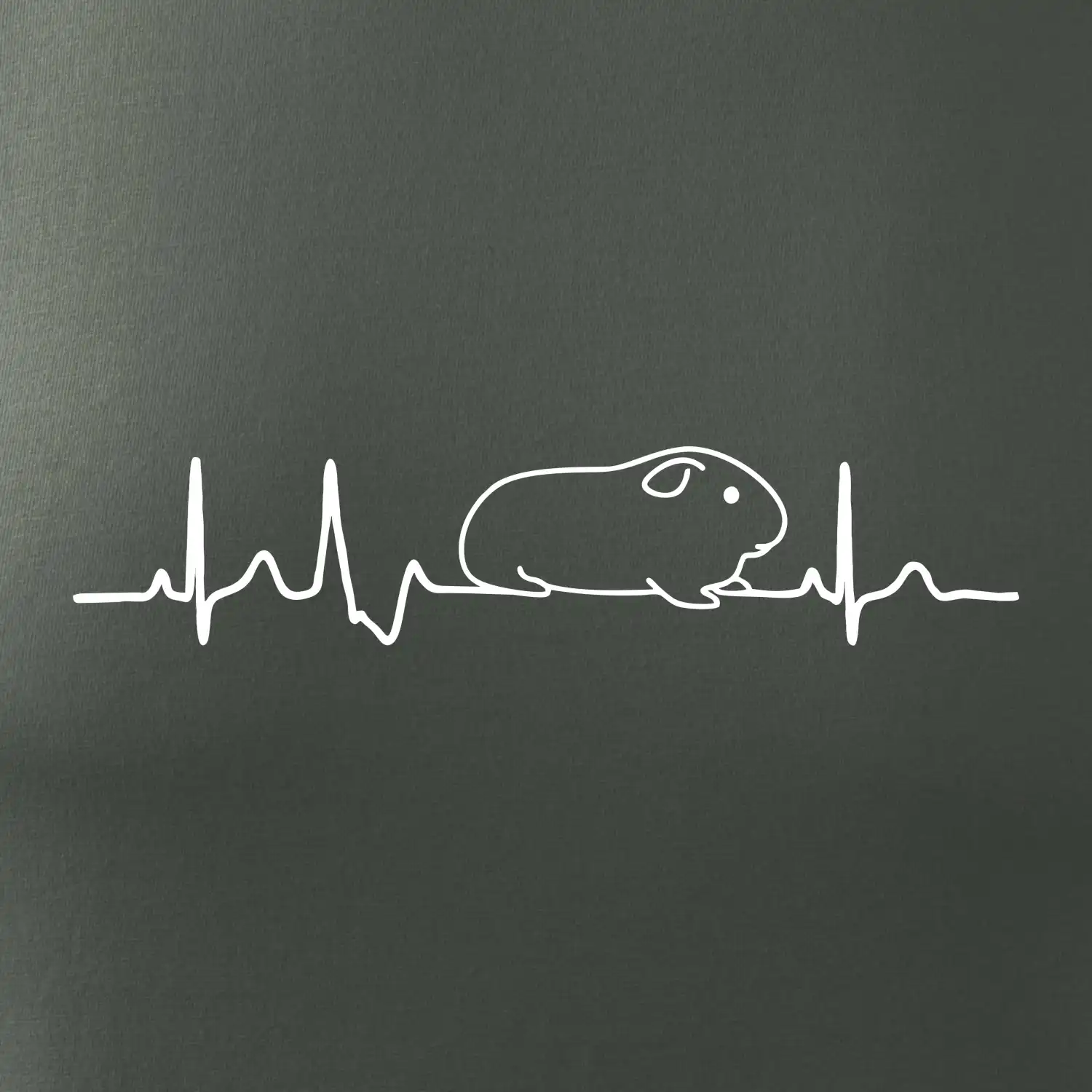 EKG morče