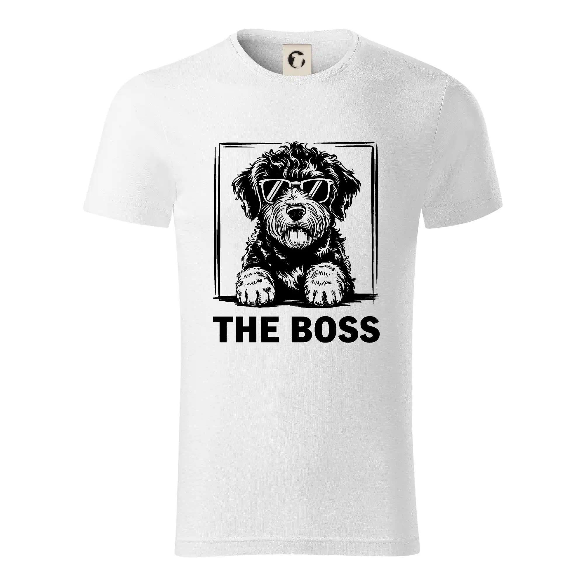 Lagotto romagnolo the boss