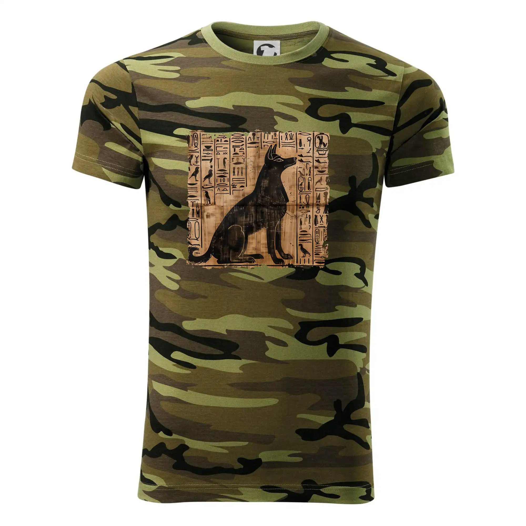 Egyptské hieroglyfy pes