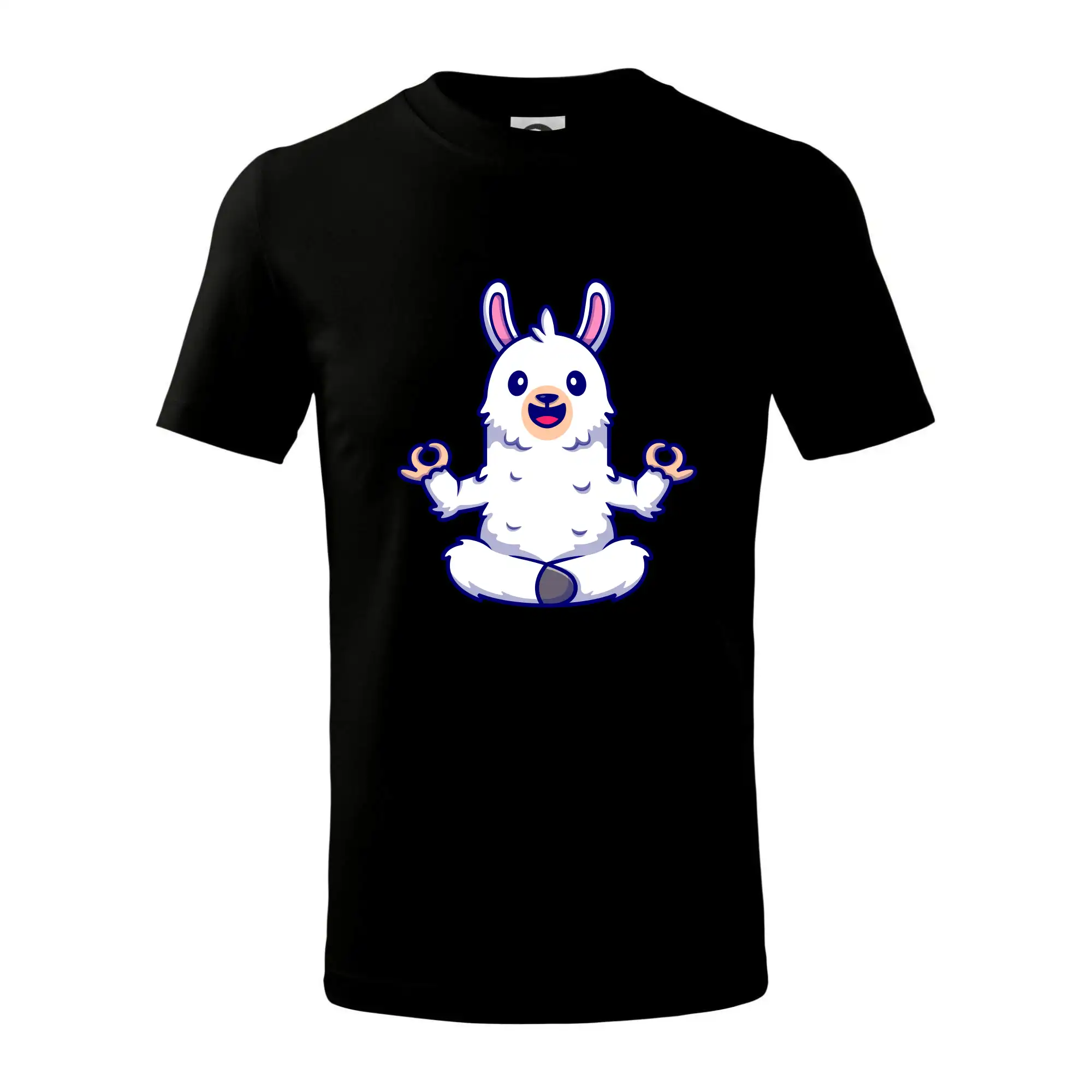 Yoga meditace - lama