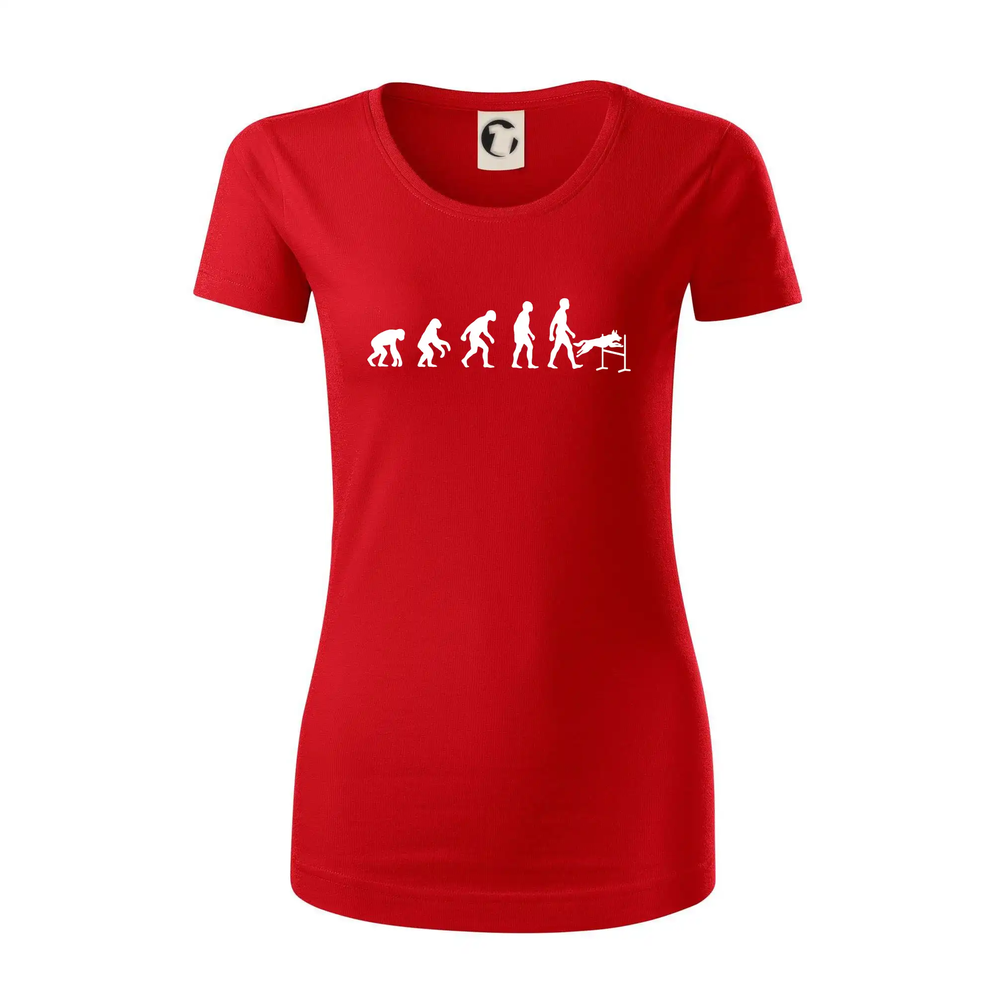 Evoluce agility muž