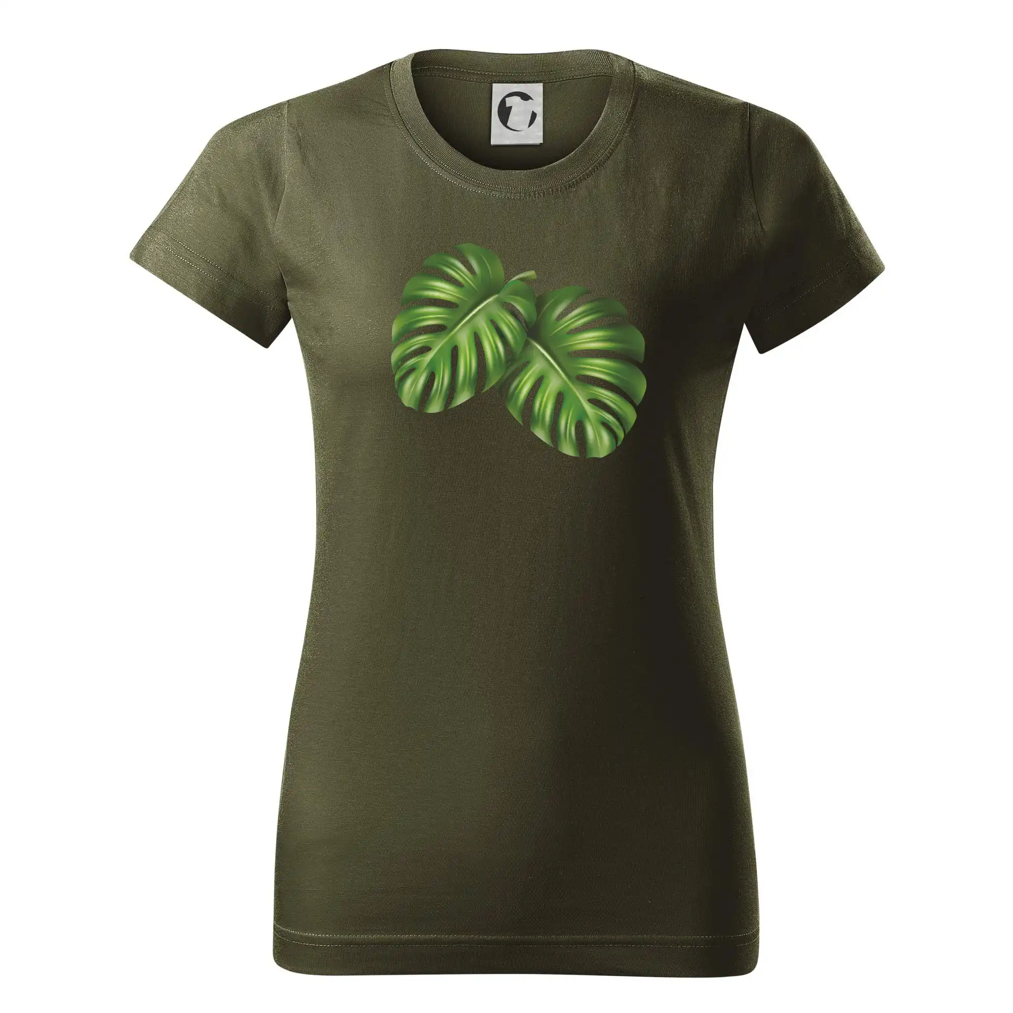 Monstera - dva listy