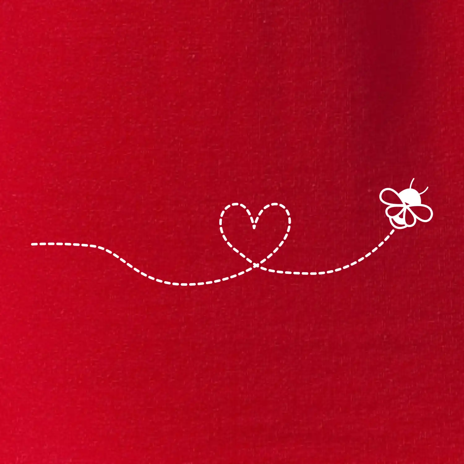 Dráha letu včely - srdce