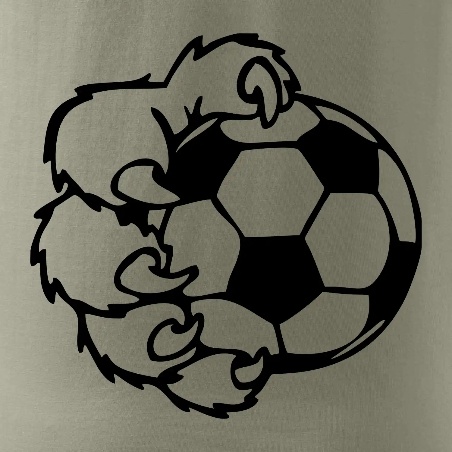 Medvědí tlapa fotbal