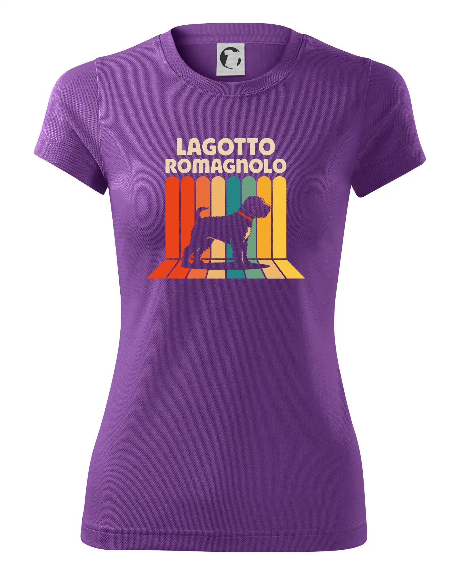 Lagotto romagnolo vintage