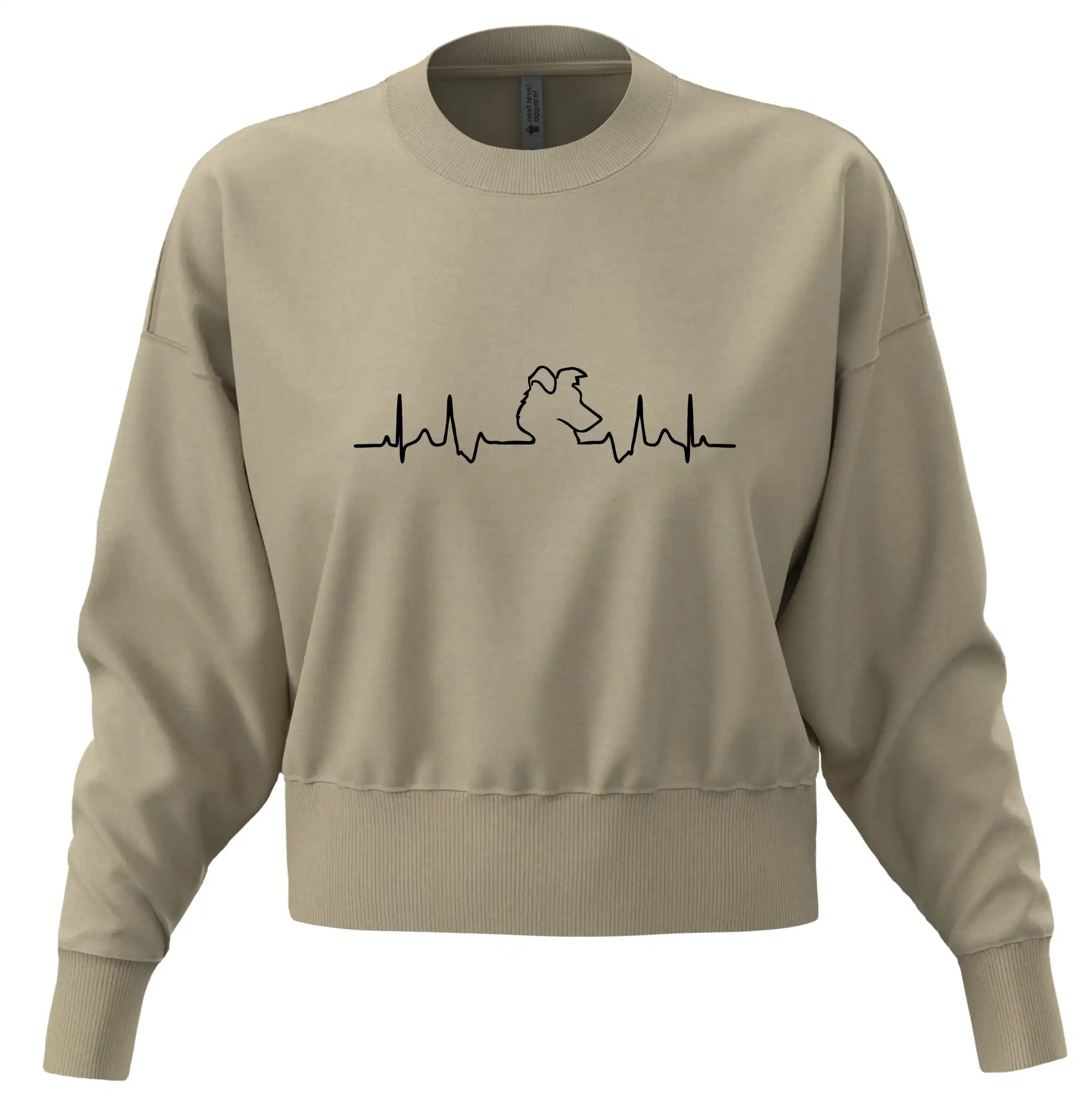 Borderská kólia EKG