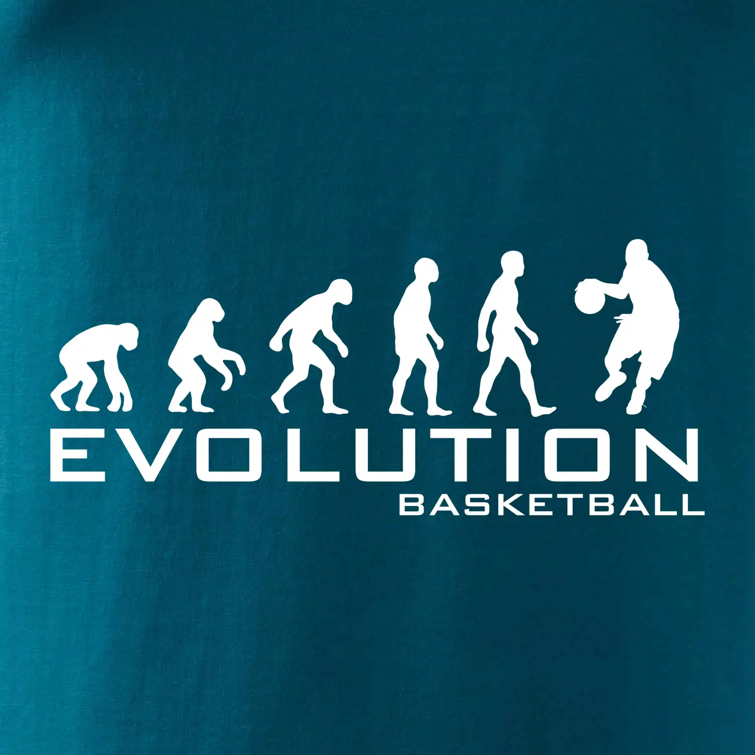 Evoluce Basketball