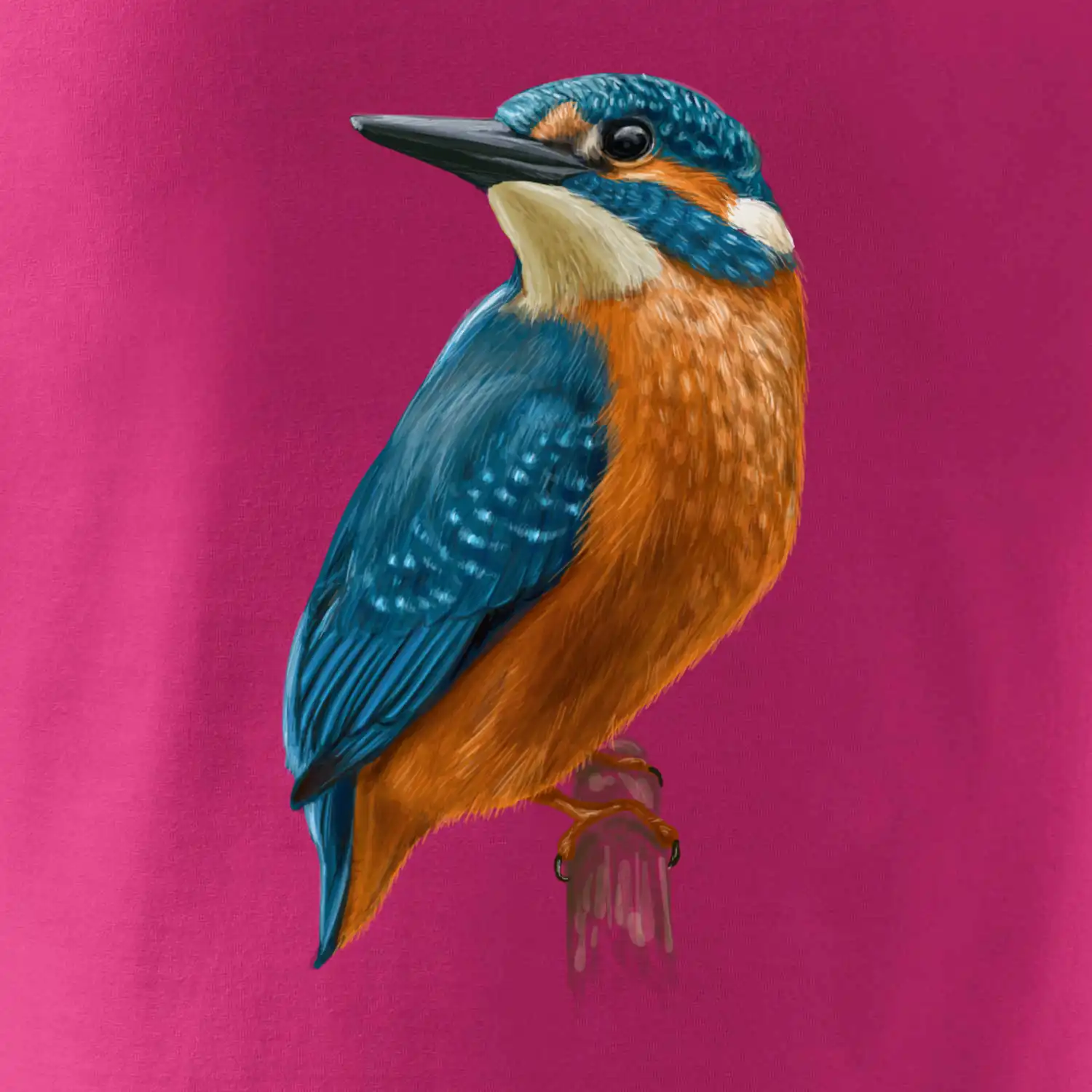 Lednáček kreslený