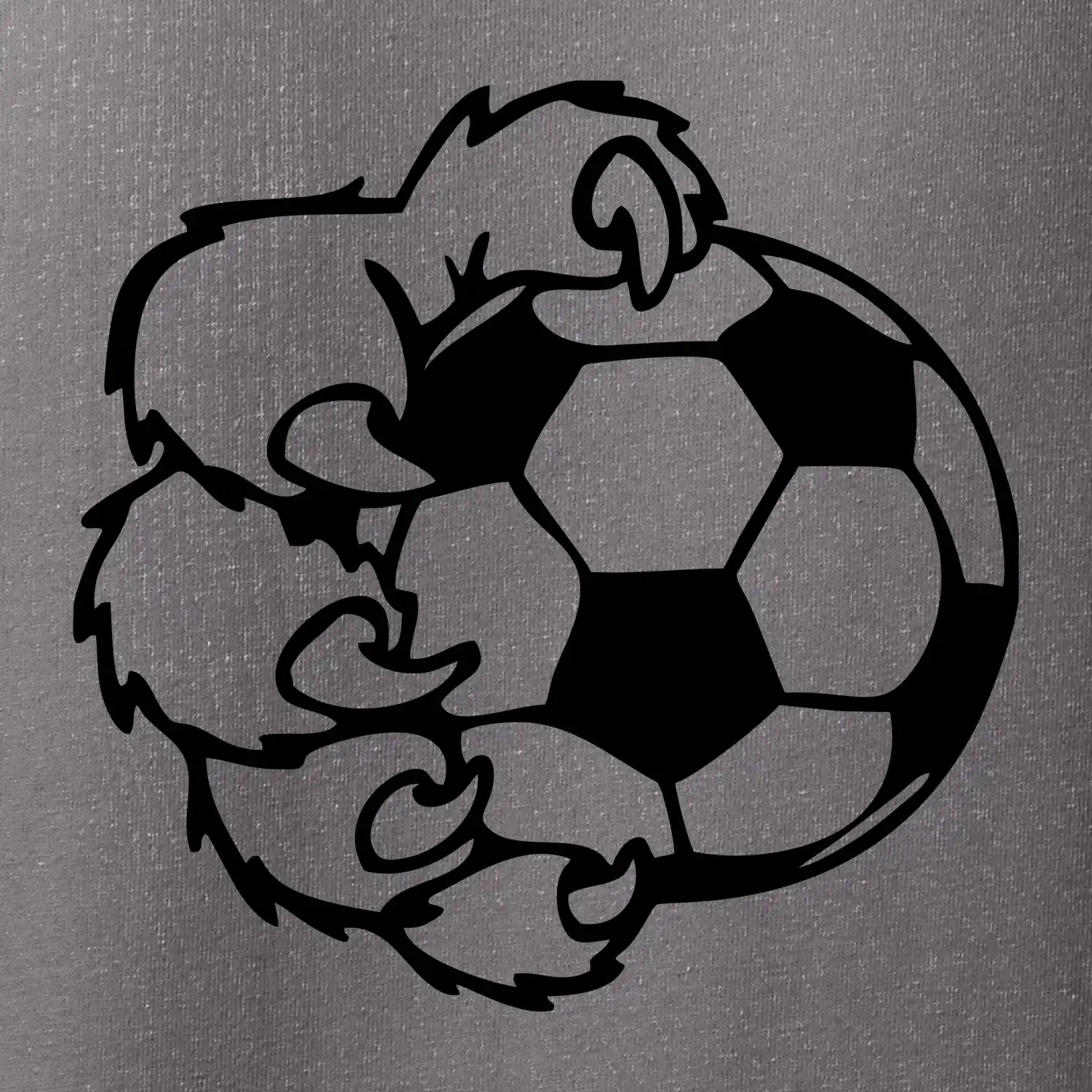 Medvědí tlapa fotbal