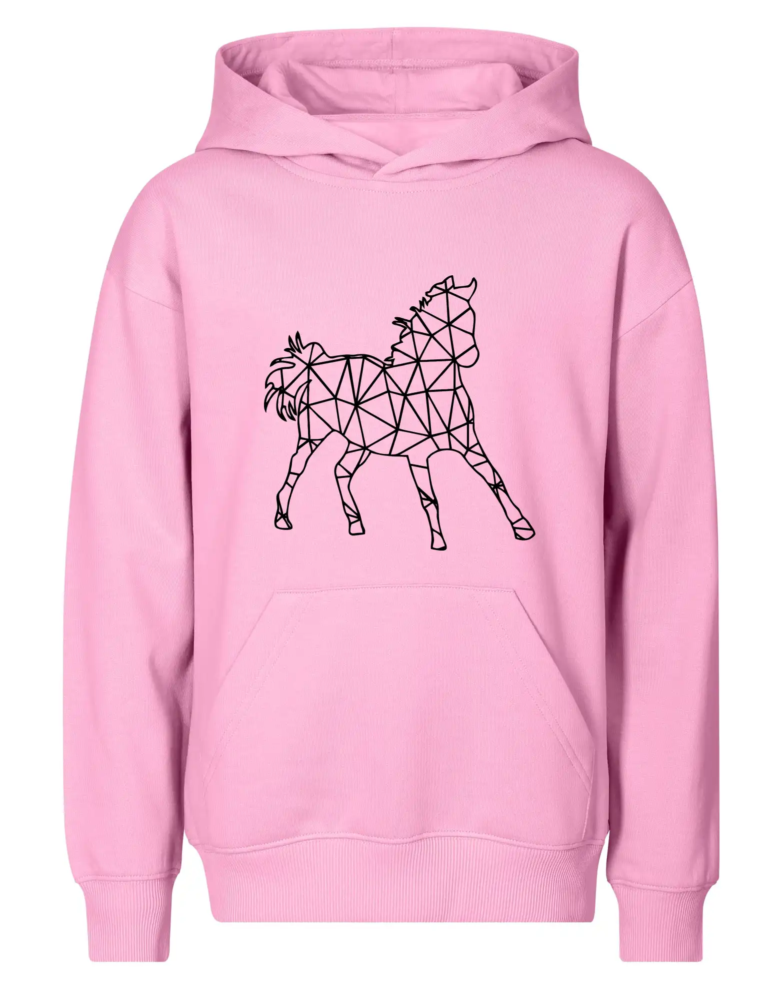 Geometrie - kůň jednobarevná