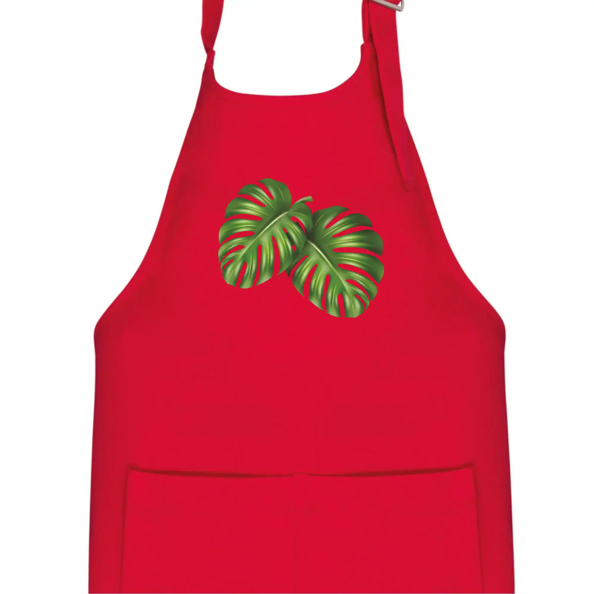 Monstera - dva listy