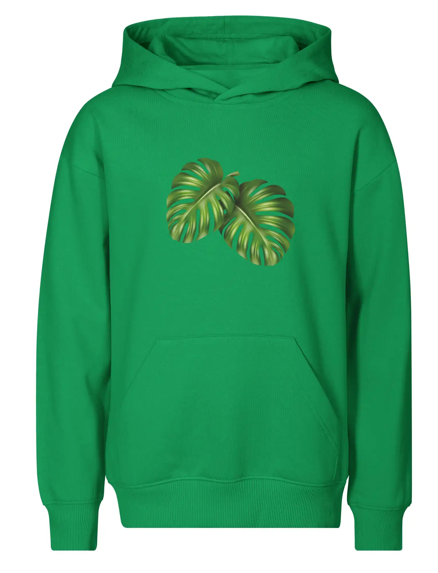 Monstera - dva listy
