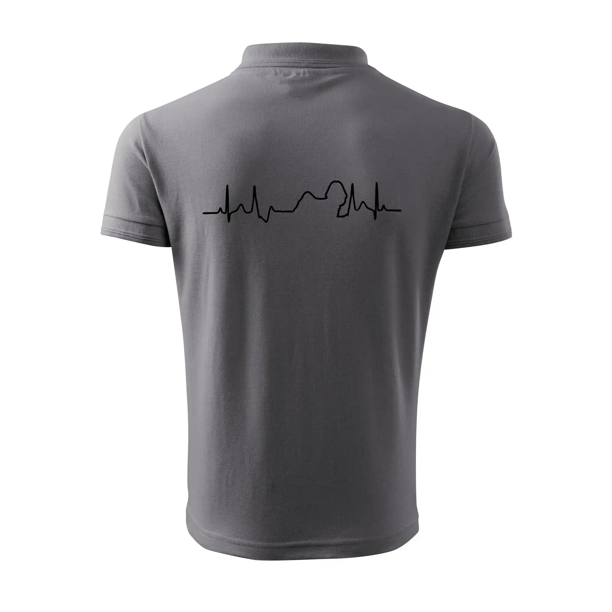 Shih-tzu ekg obrys