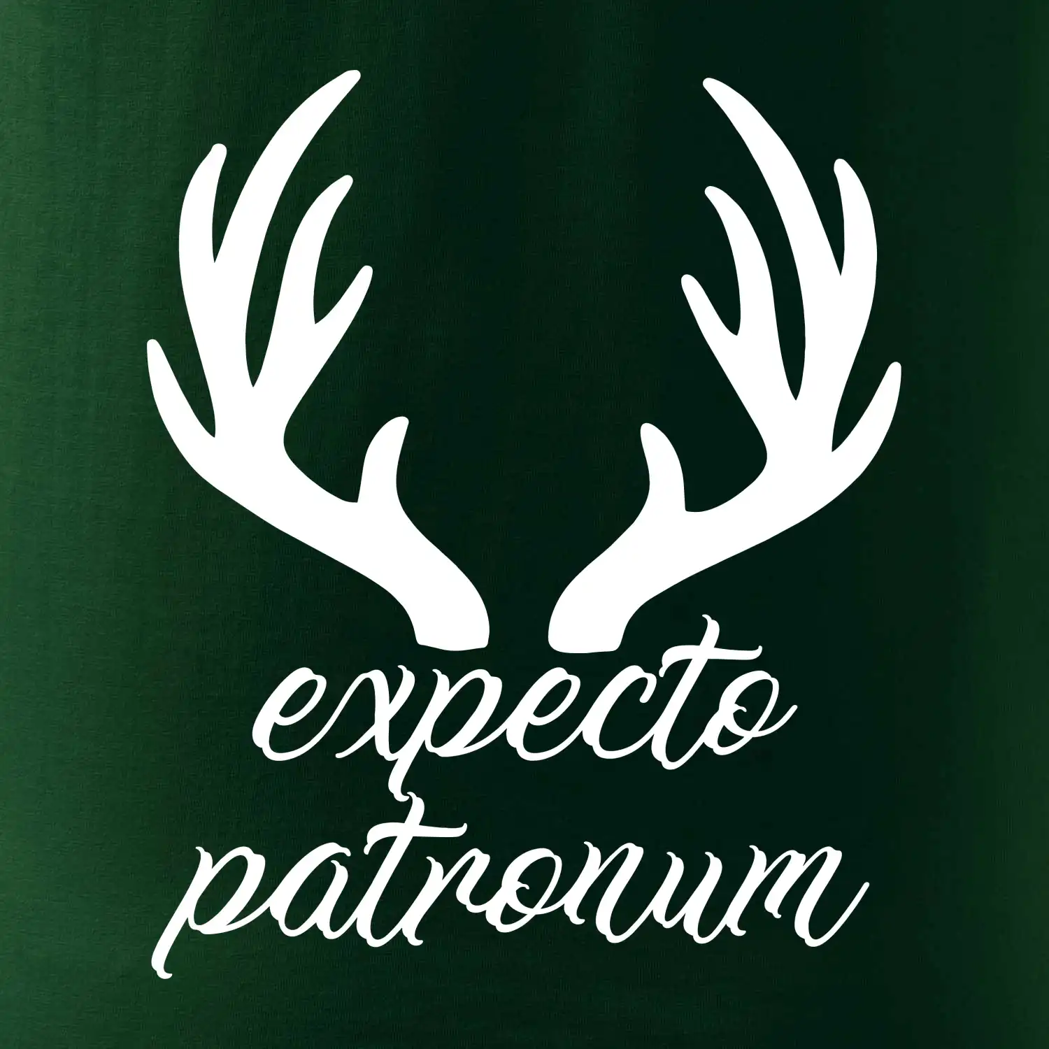 Harry - Expecto patronum