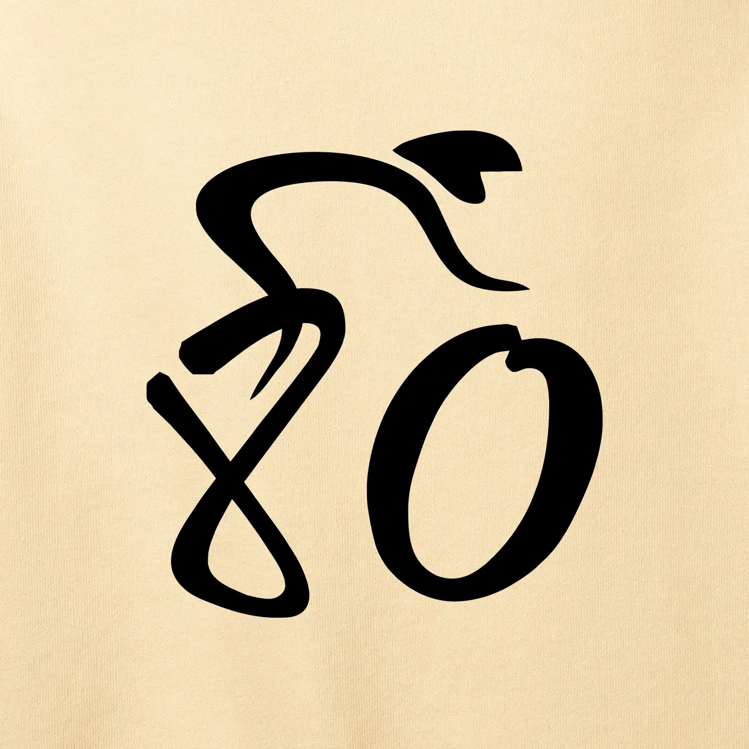 Cyklista slaví osmdesátiny (80)