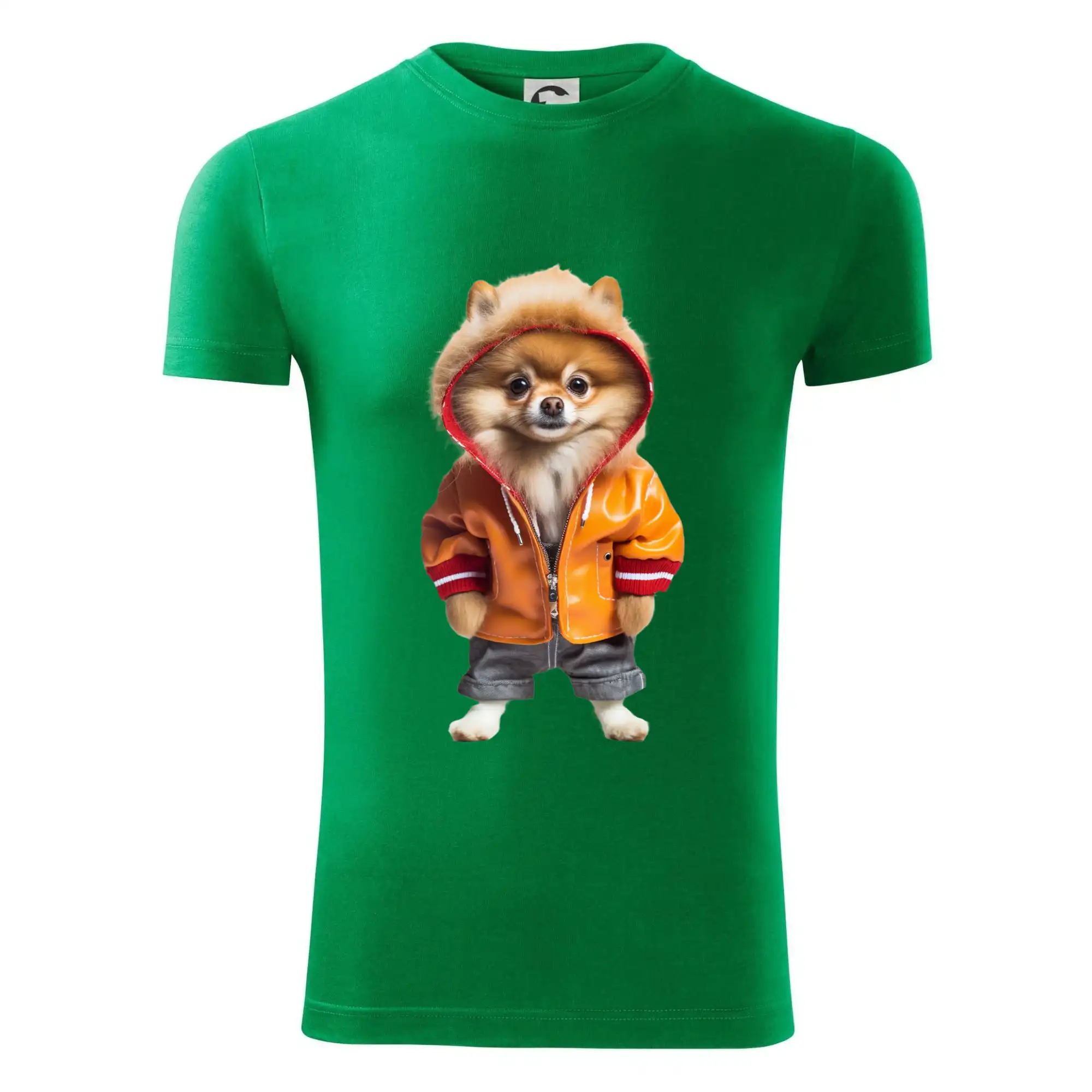 Pomeranian v bundě