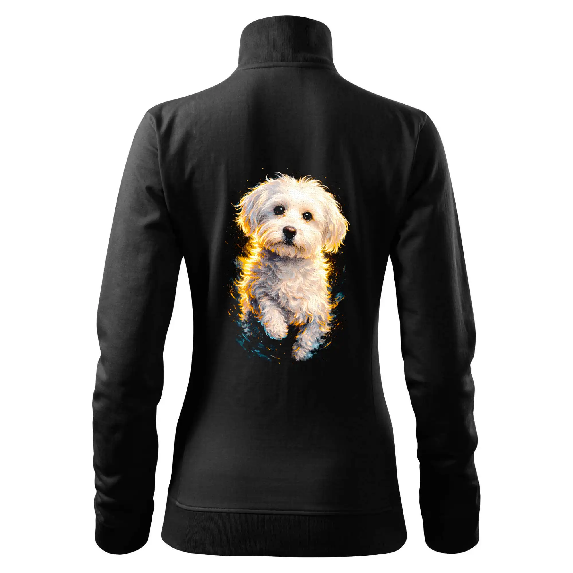 Obrázek polotón Maltezský psík