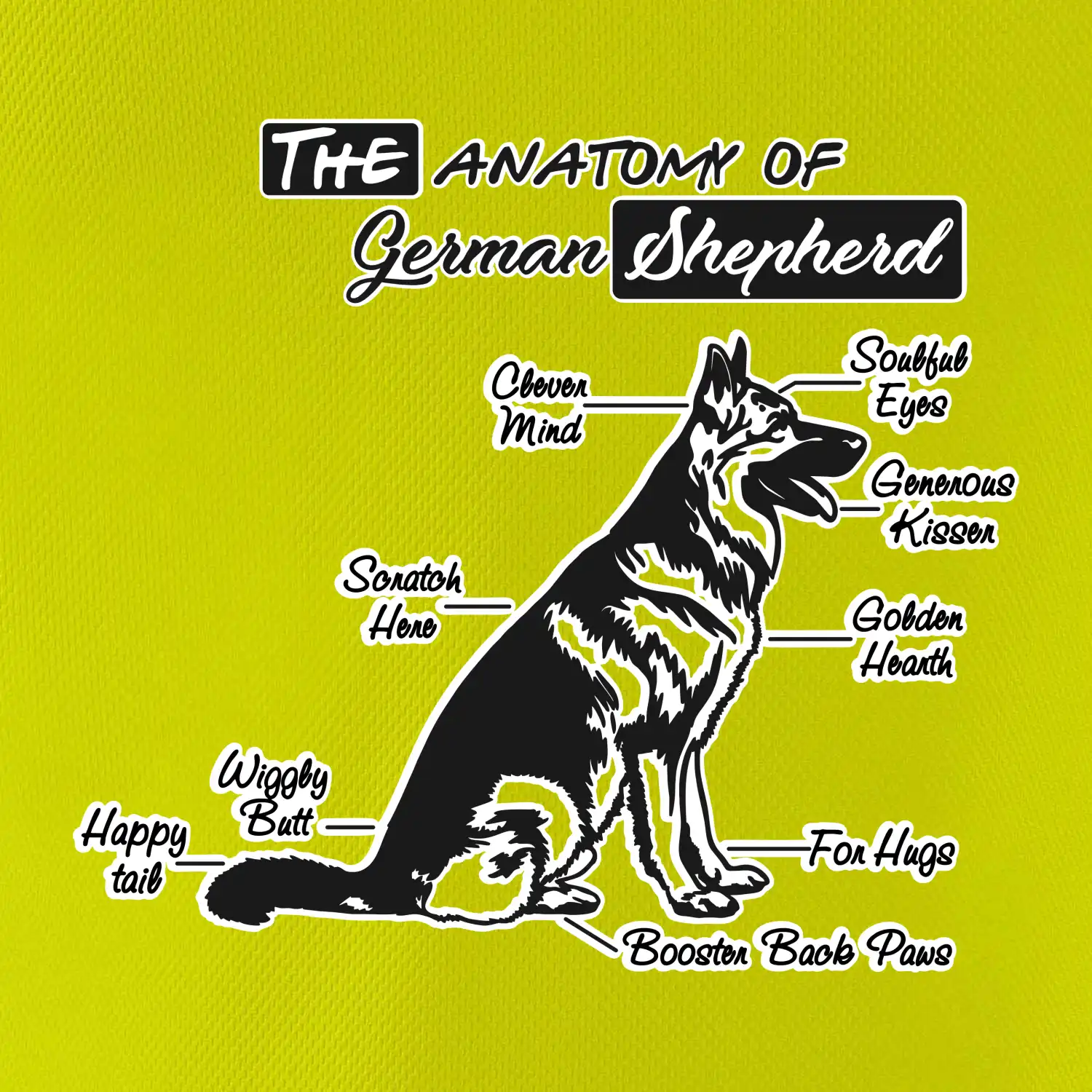 Německý ovčák - Anatomie