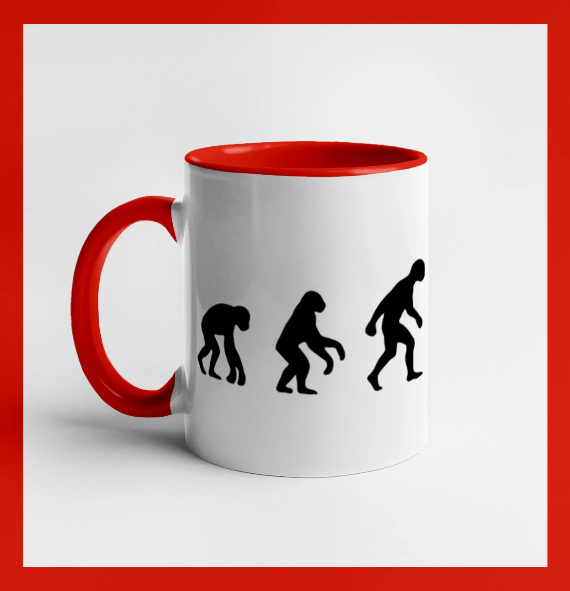Evolúcia šípky