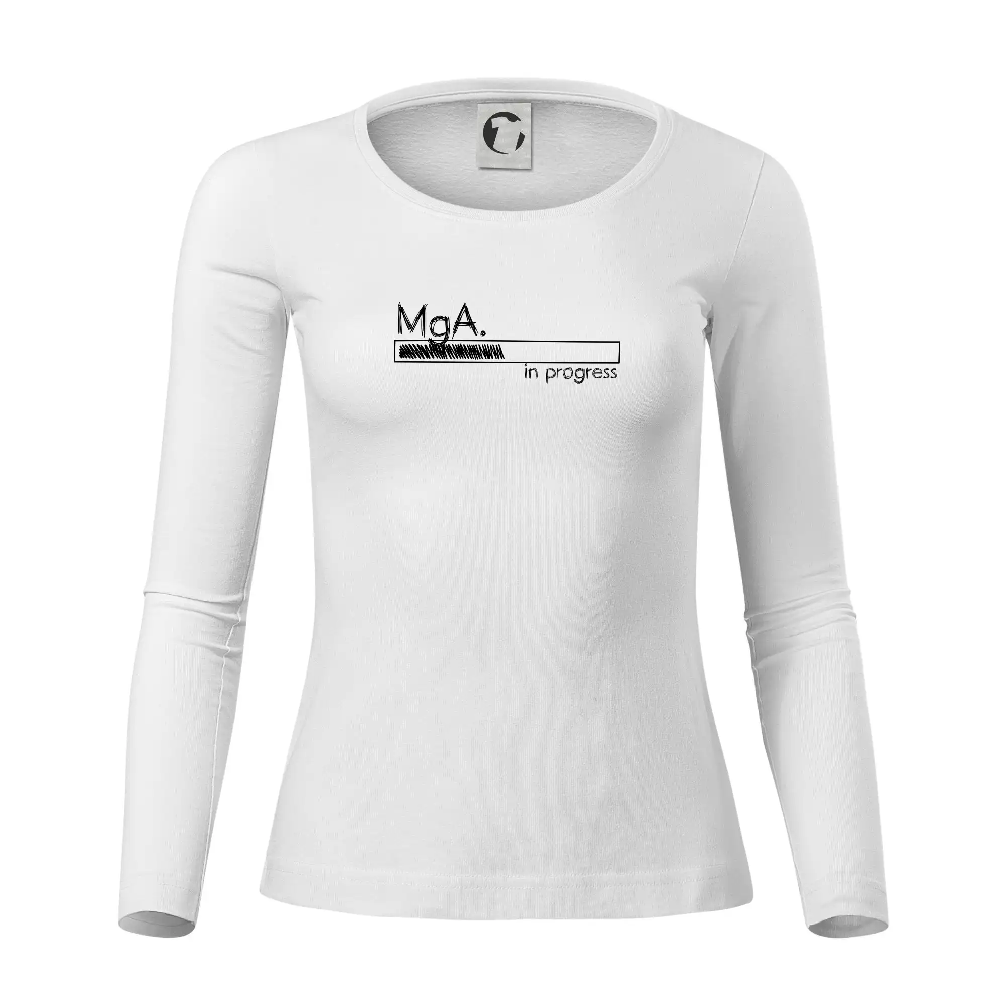 In progress titul MgA.  magistr / magistra umění