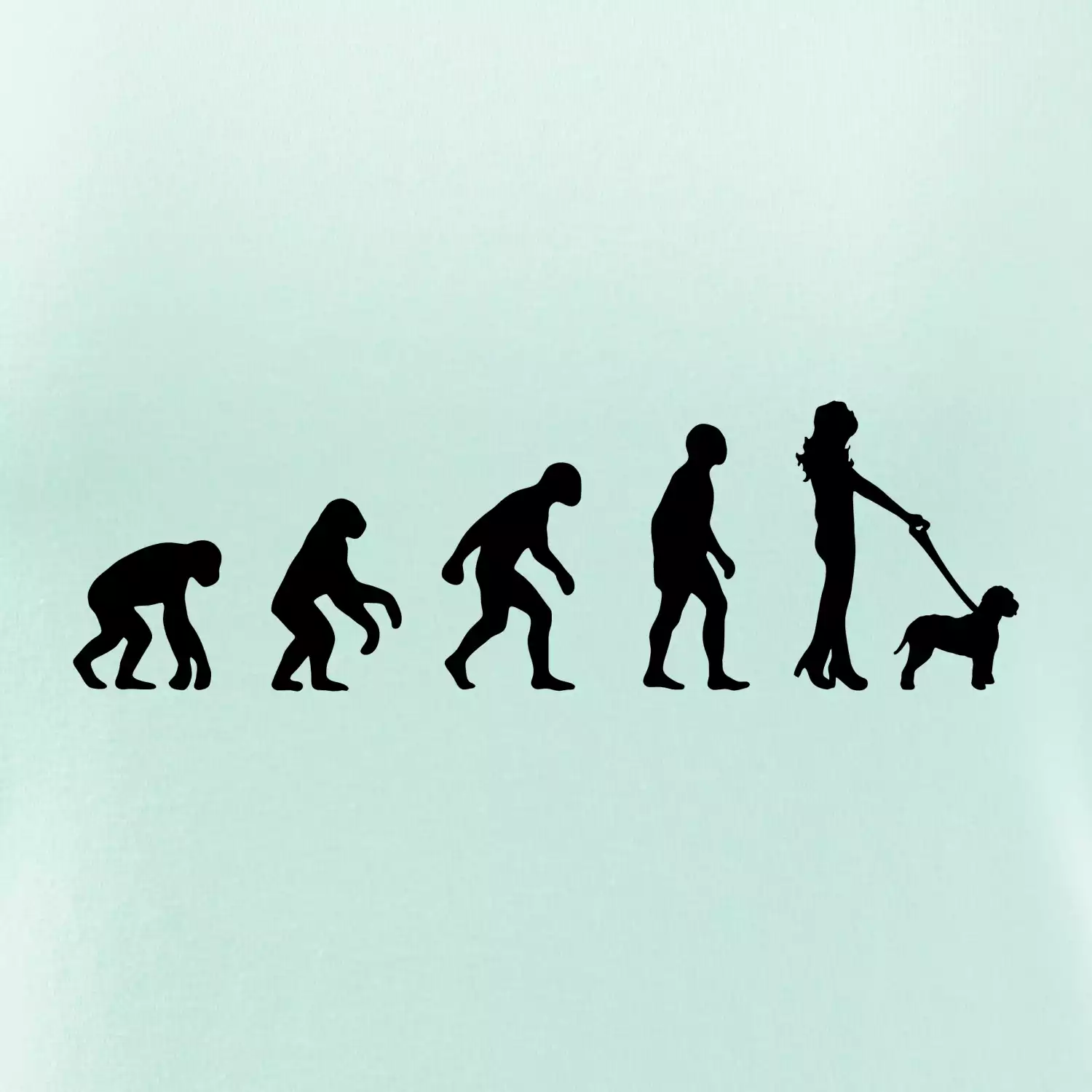 Lagotto romagnolo Evoluce