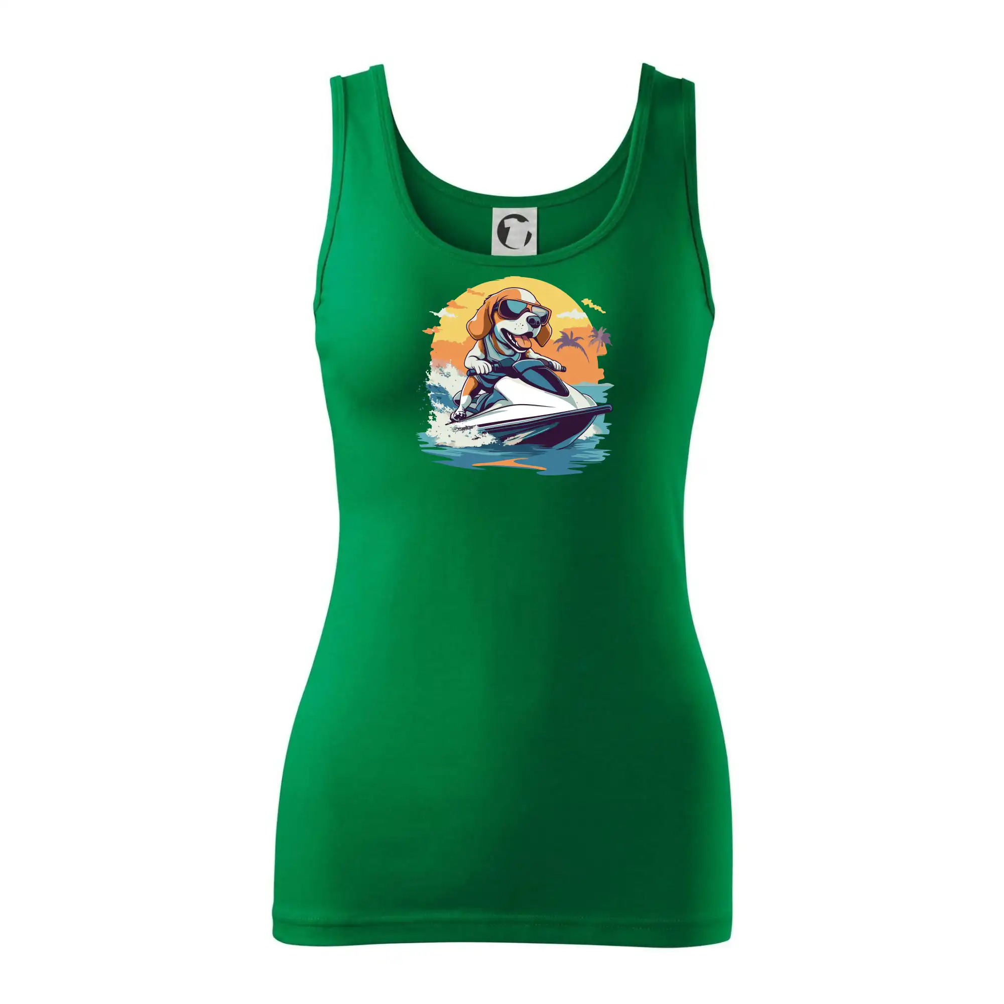 Bígl na vodním skútru