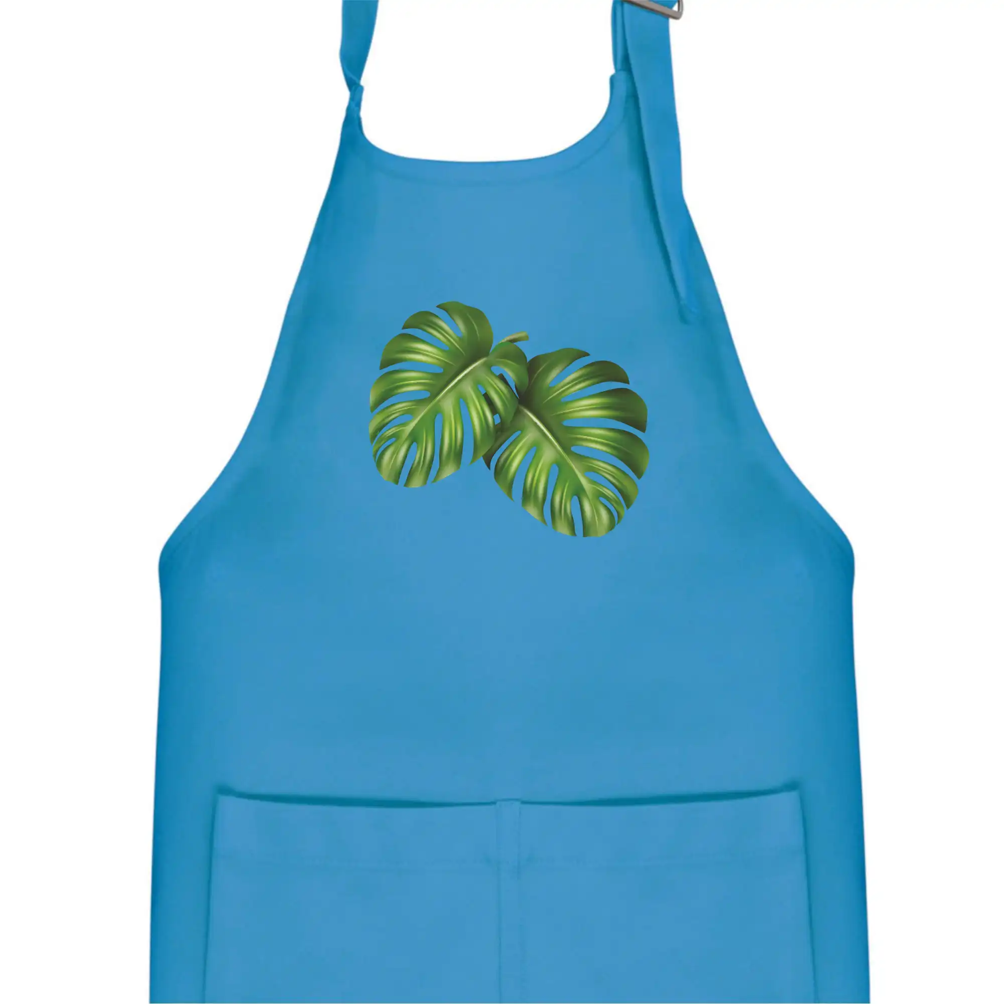 Monstera - dva listy