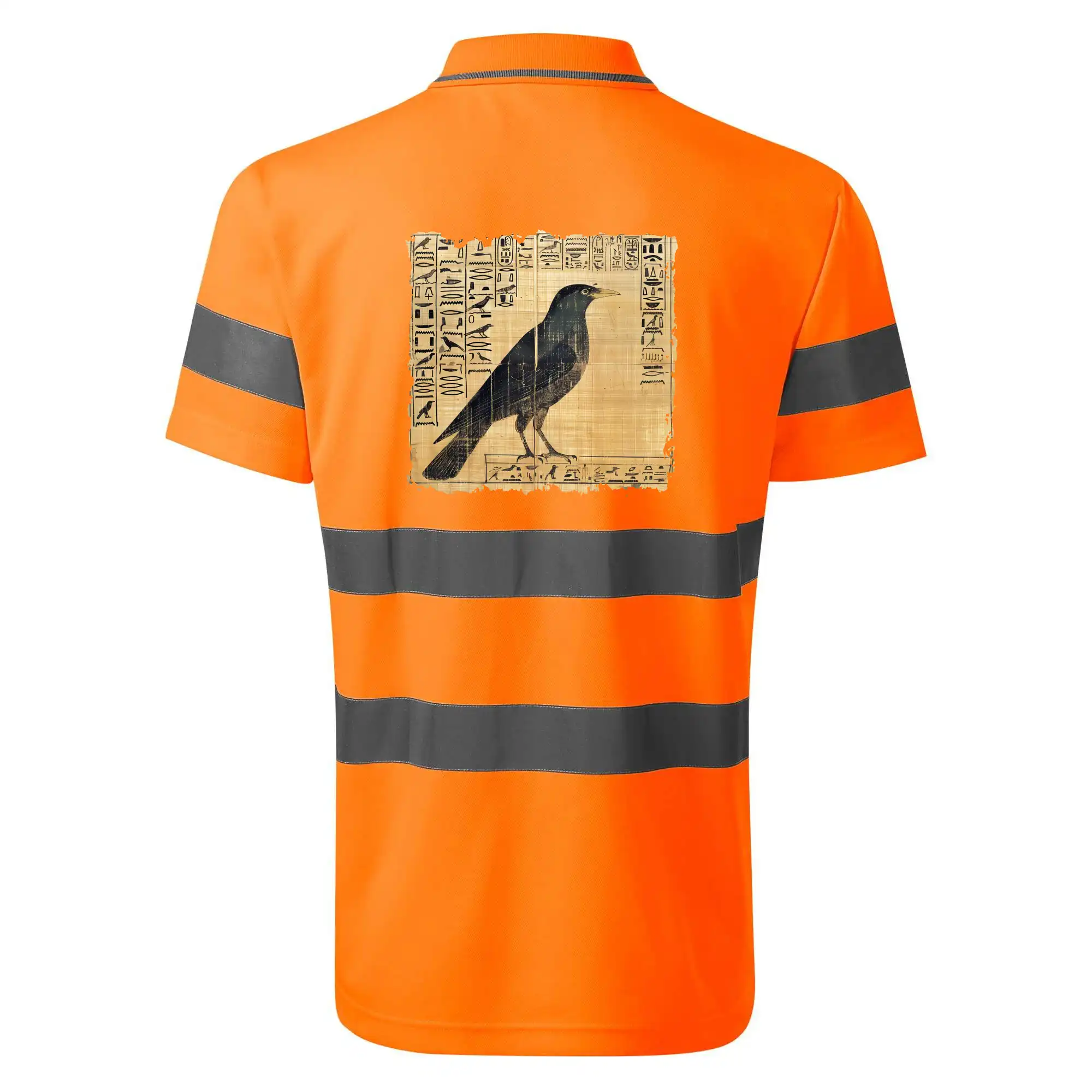 Egyptské hieroglyfy pták