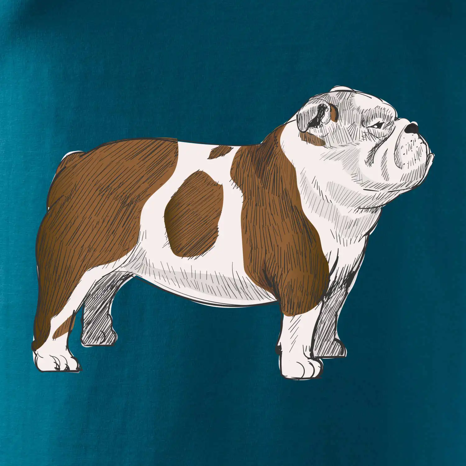 Vintage English bulldog