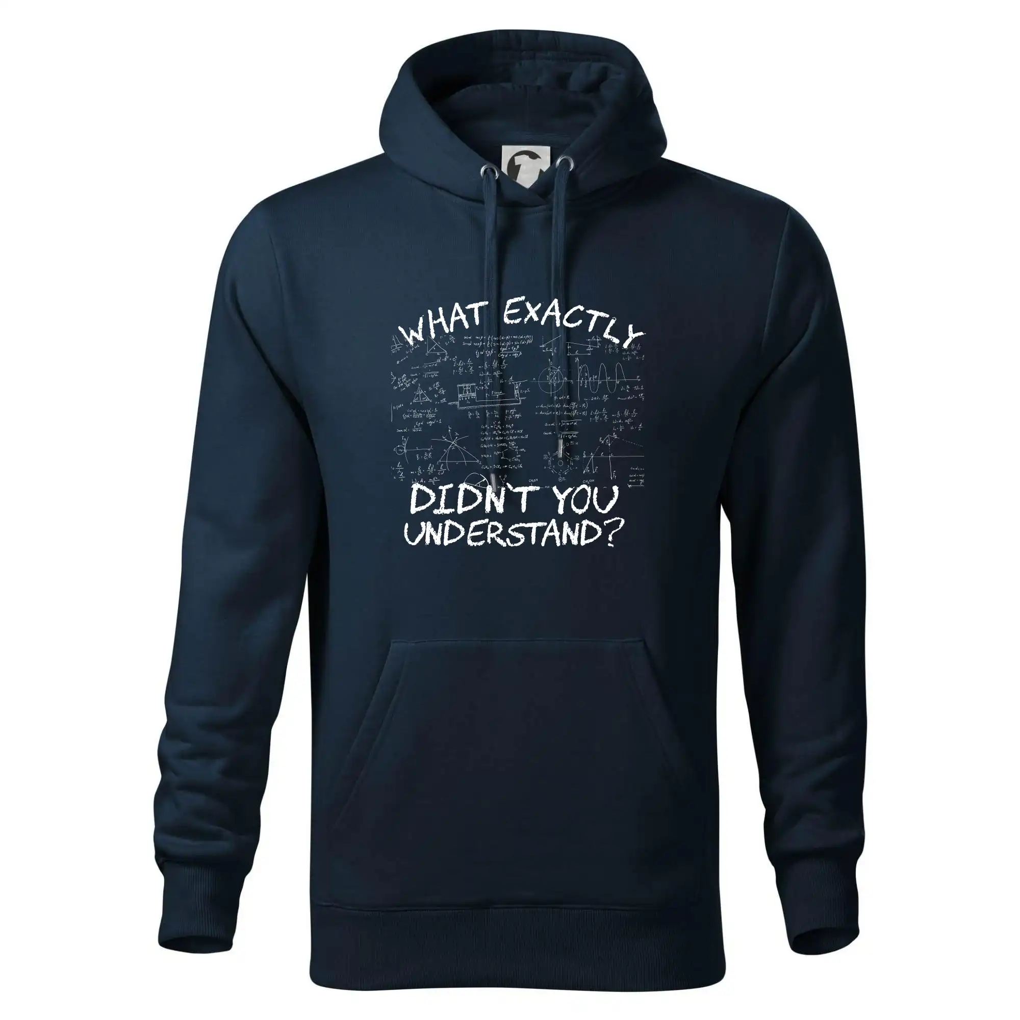 What exactly didnt you understand - physics