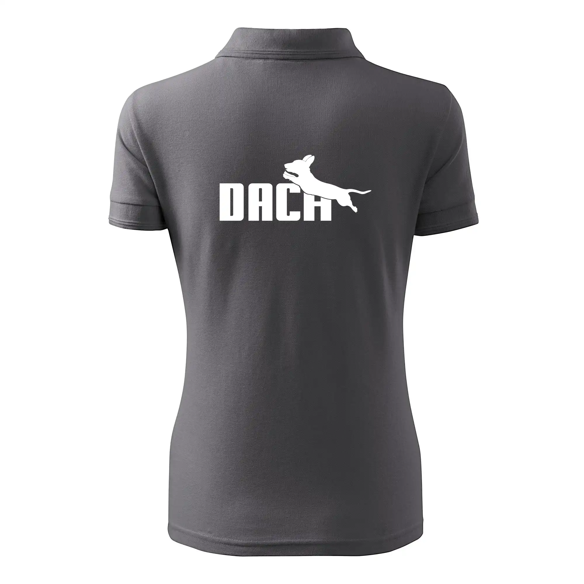 Jazvečík Dach